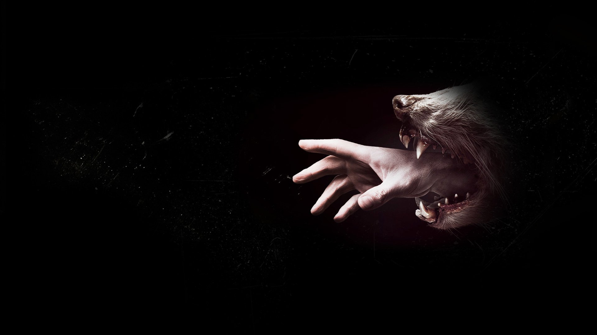 Hemlock Grove Wallpapers