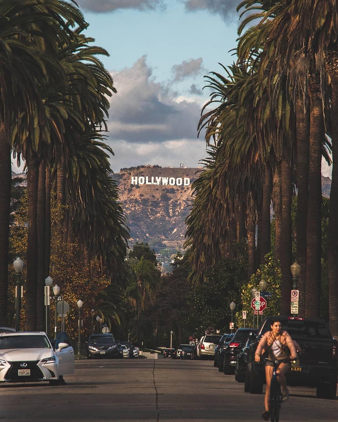 Hollywood Wallpapers