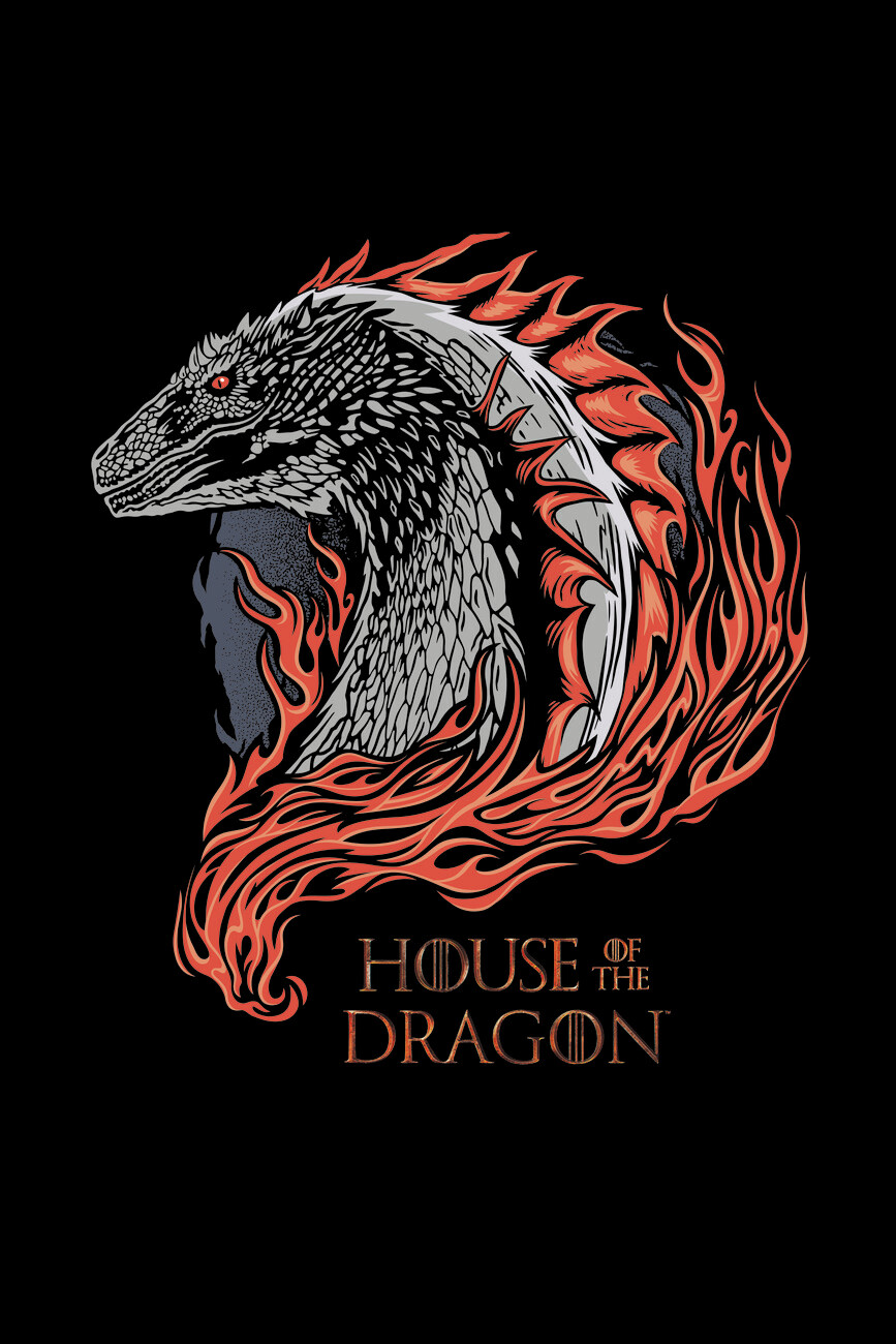 House Of The Dragon Poster Wallpapers