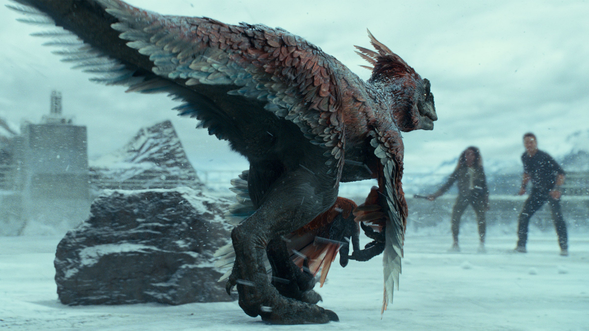 Jon Snow Flying Dragon Image Wallpapers