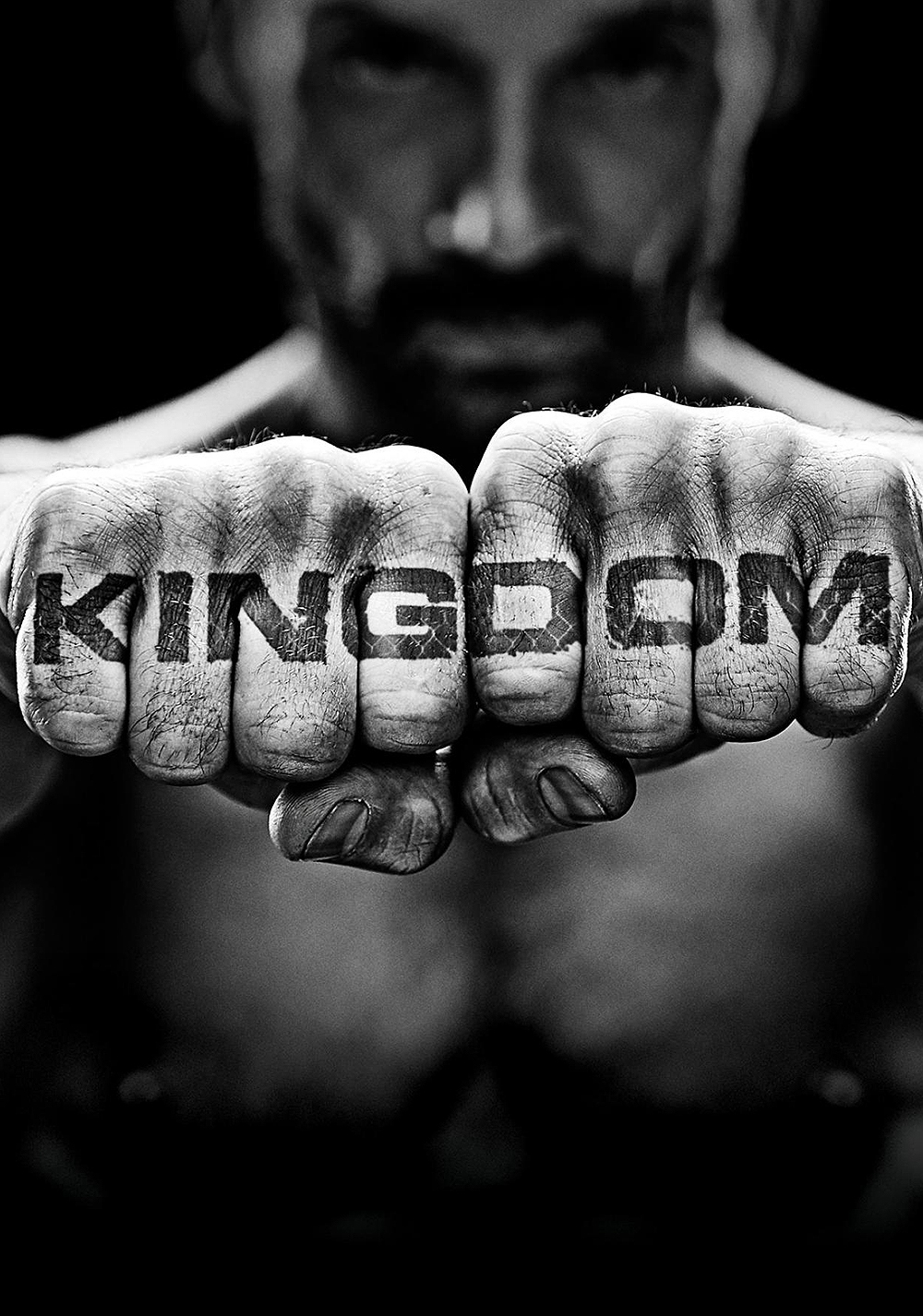 Kingdom (2014) Wallpapers