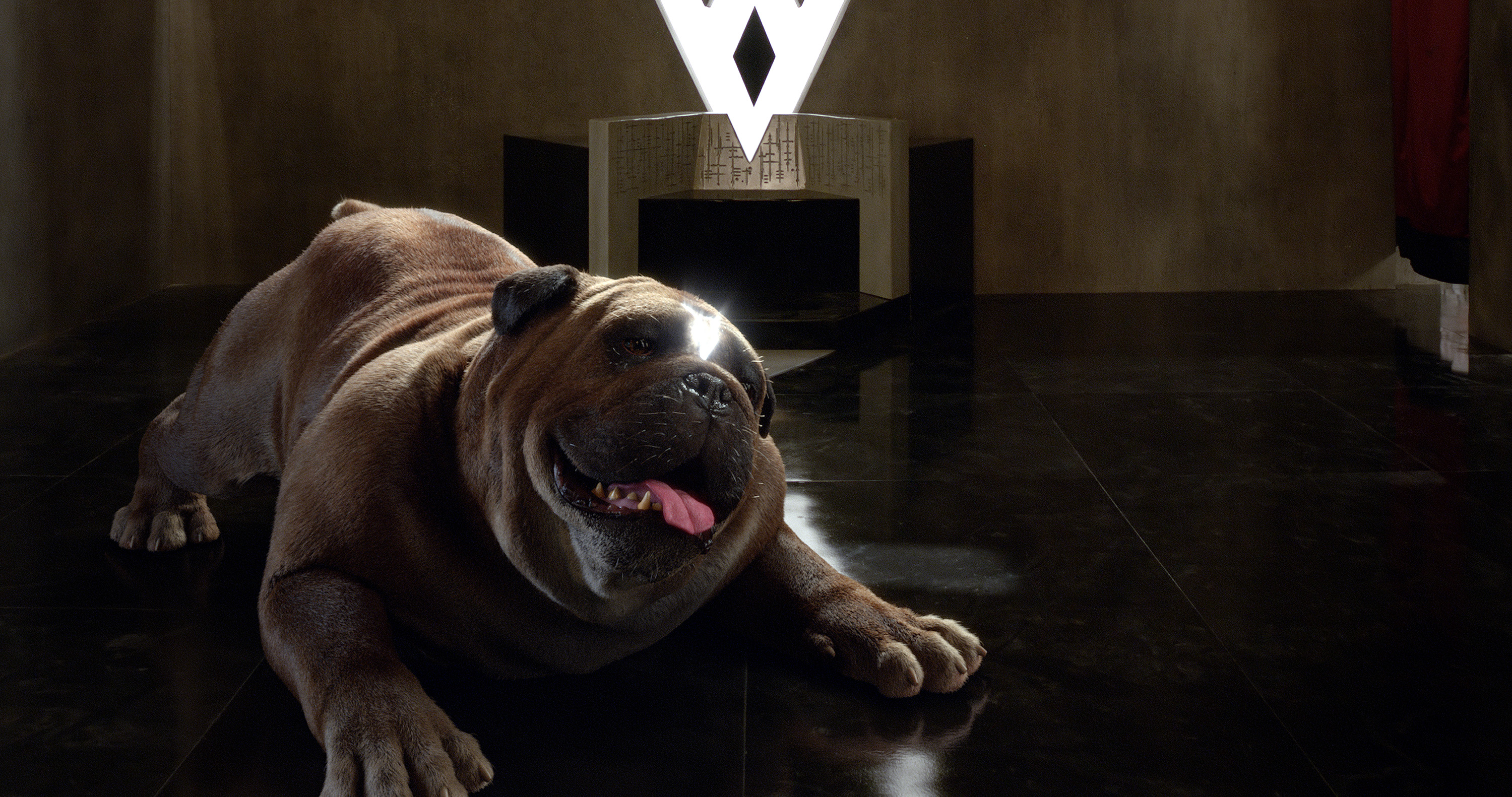 Lockjaw Inhumans Tv Series Wallpapers