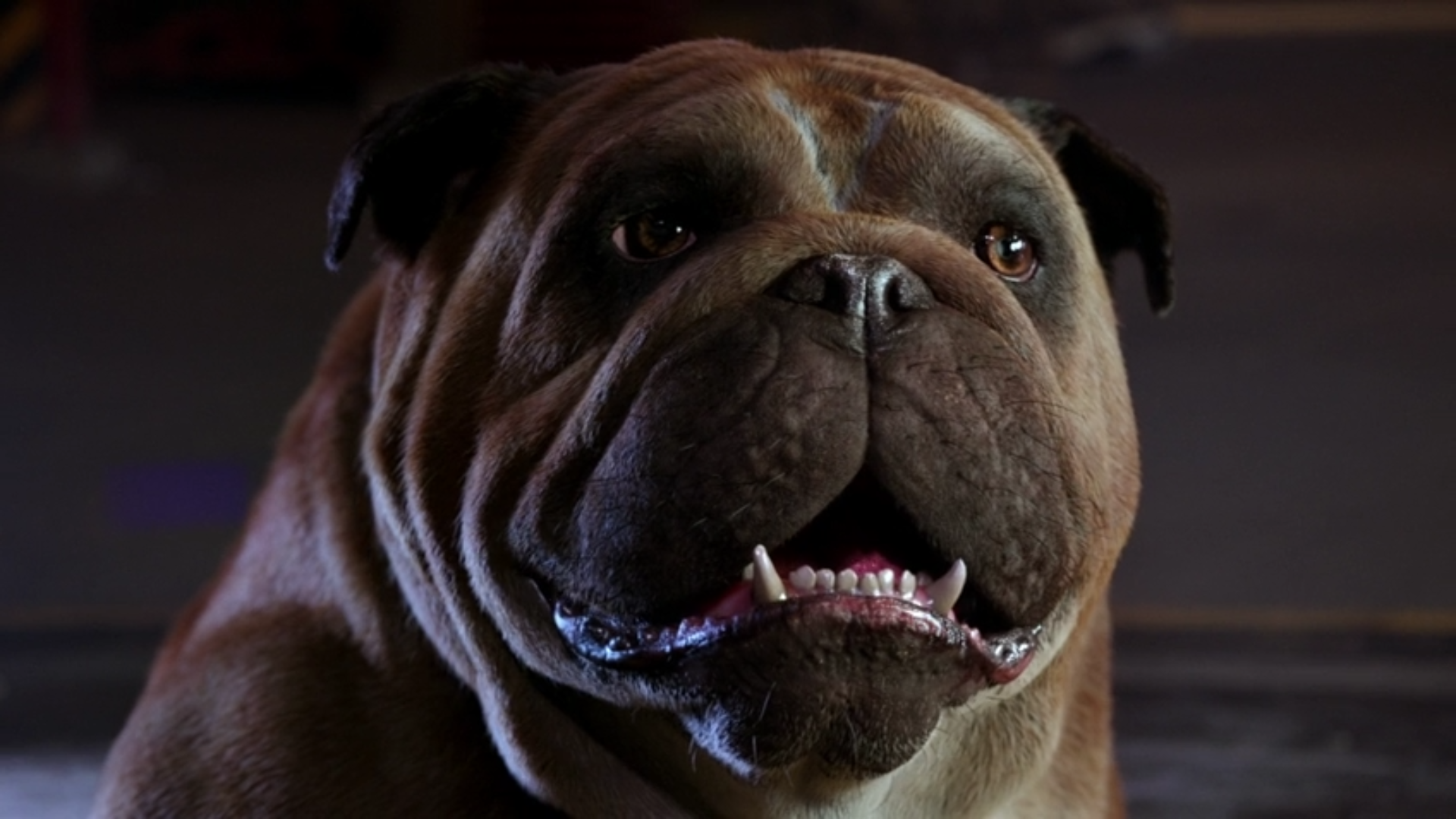 Lockjaw Inhumans Tv Series Wallpapers