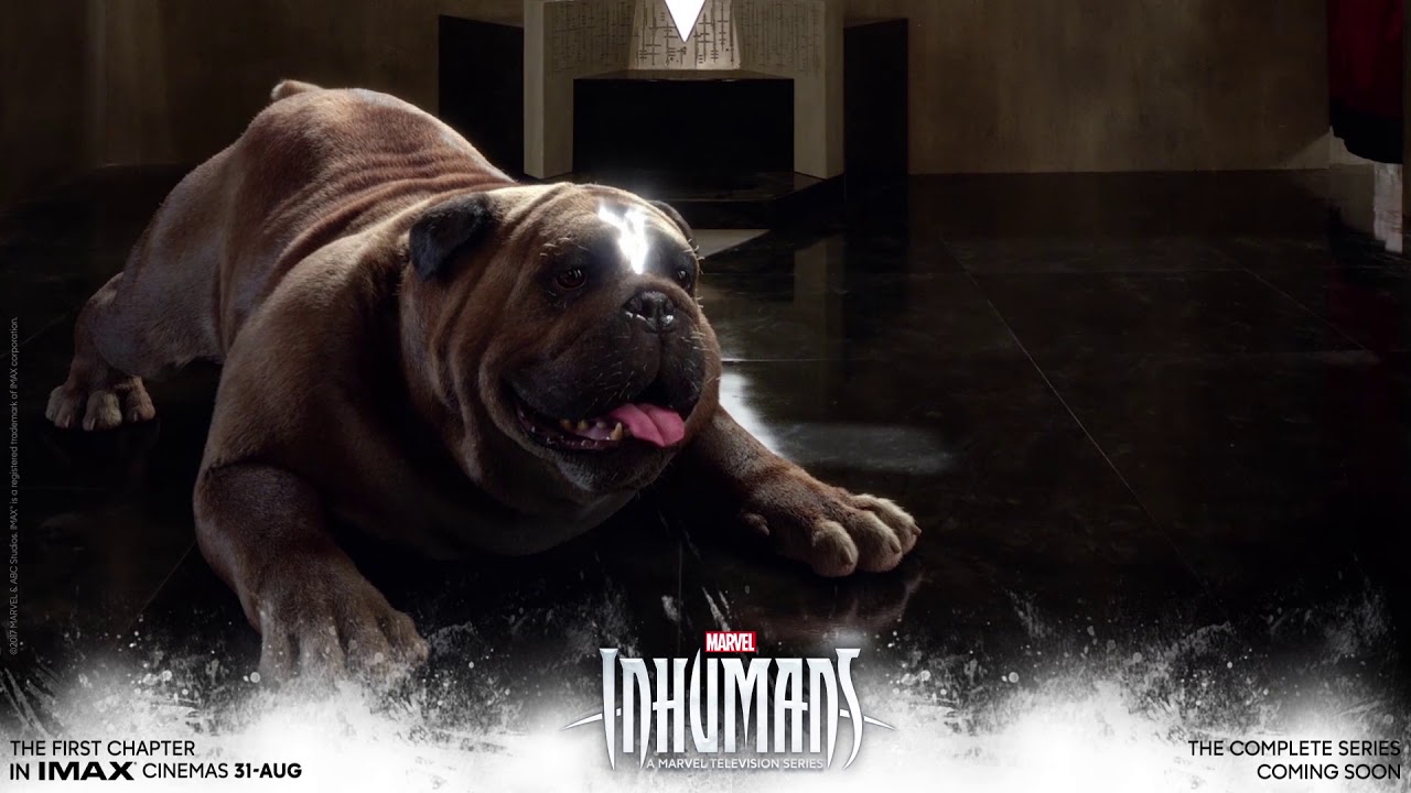 Lockjaw Inhumans Tv Series Wallpapers