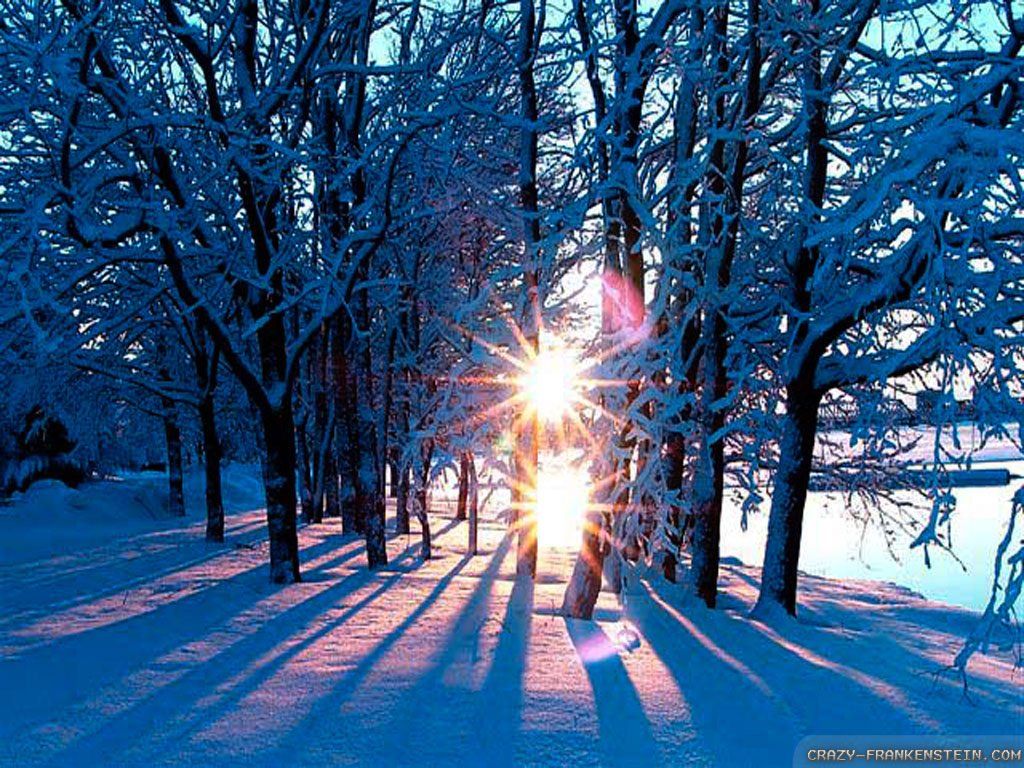 Low Winter Sun Wallpapers