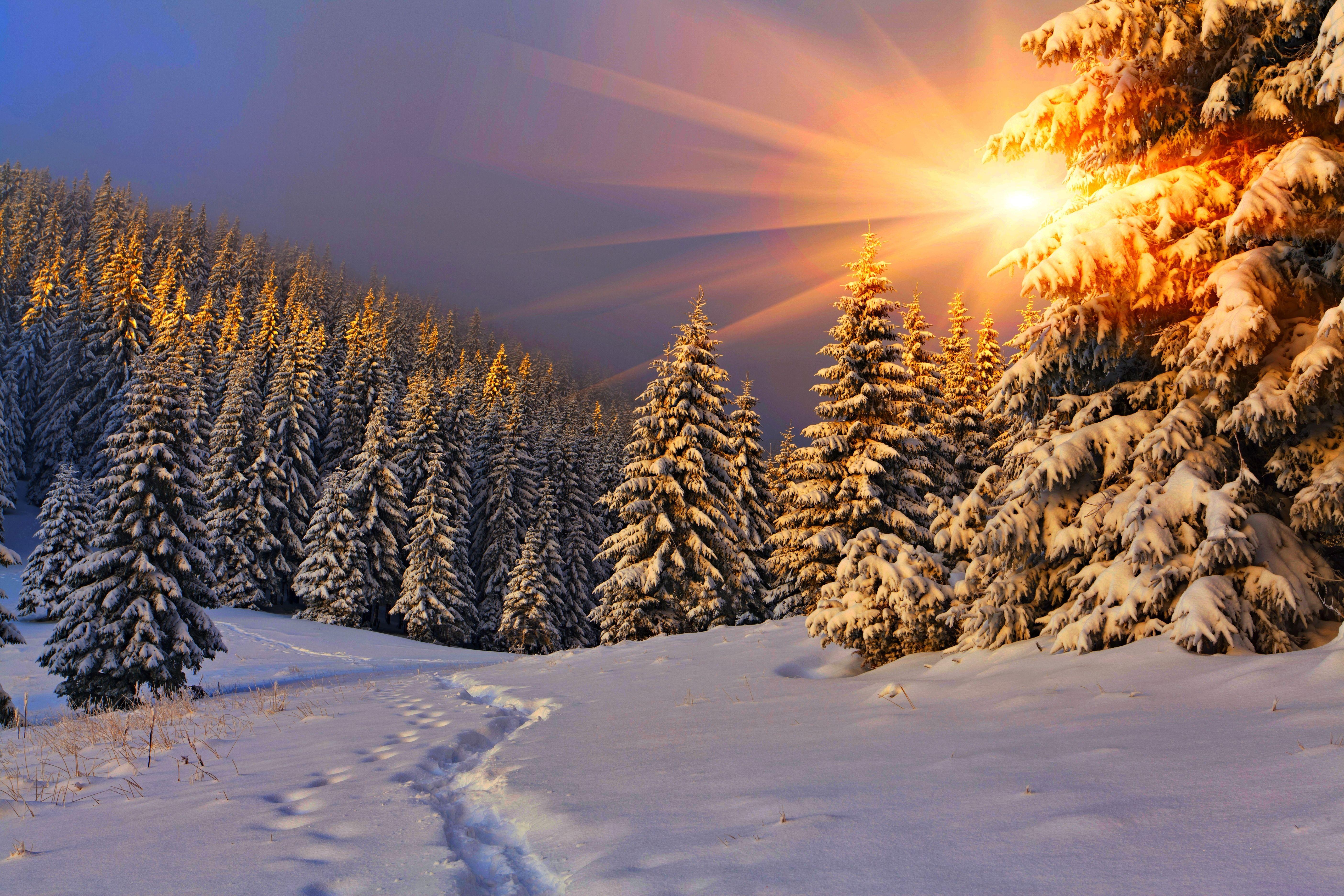 Low Winter Sun Wallpapers