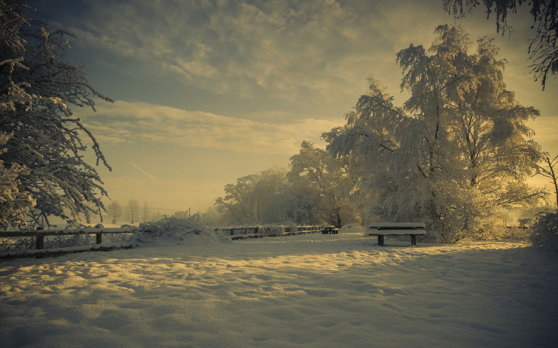 Low Winter Sun Wallpapers