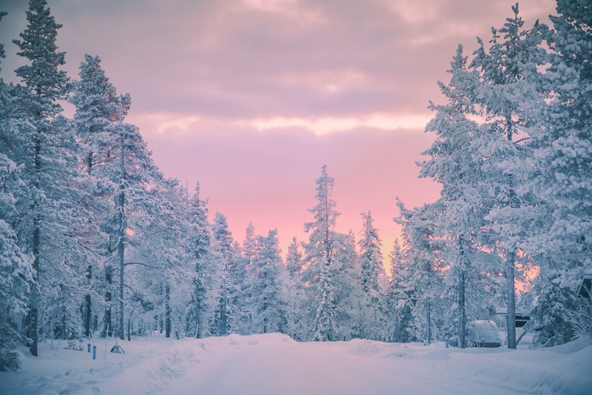 Low Winter Sun Wallpapers