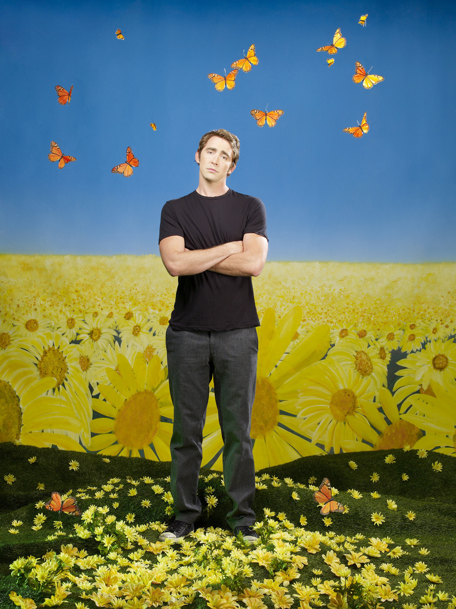 Pushing Daisies Wallpapers