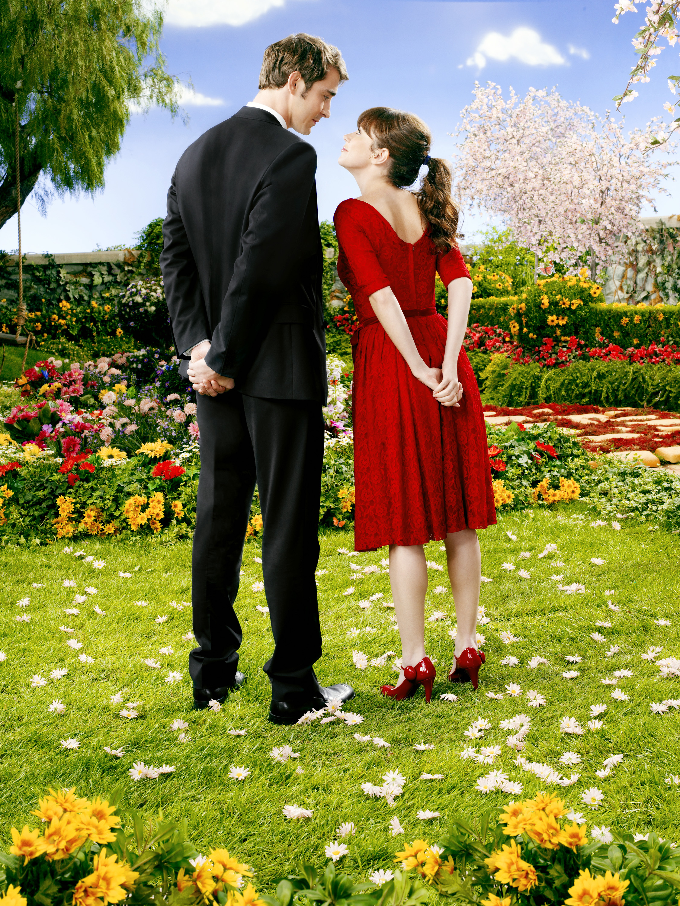 Pushing Daisies Wallpapers