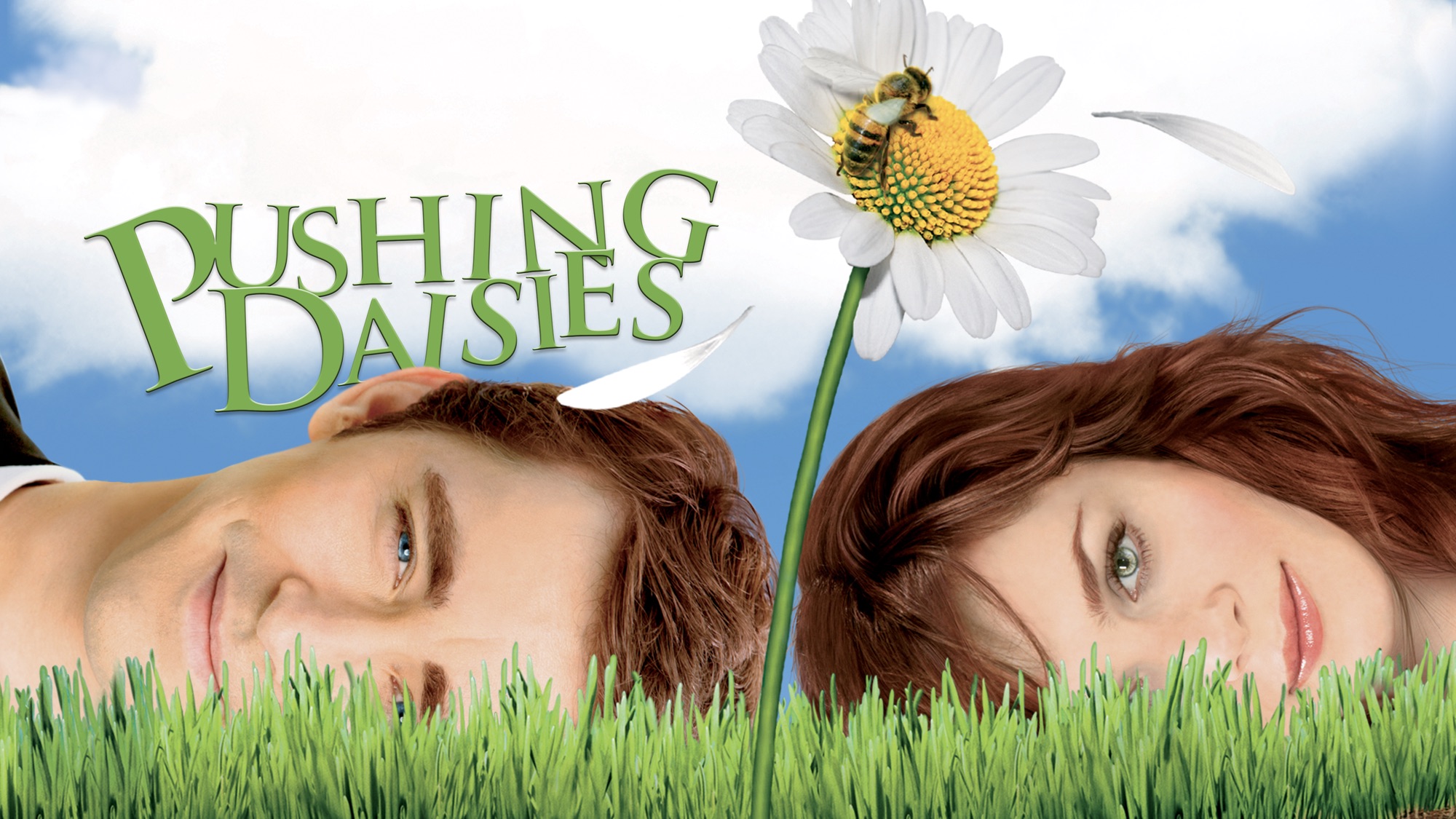 Pushing Daisies Wallpapers