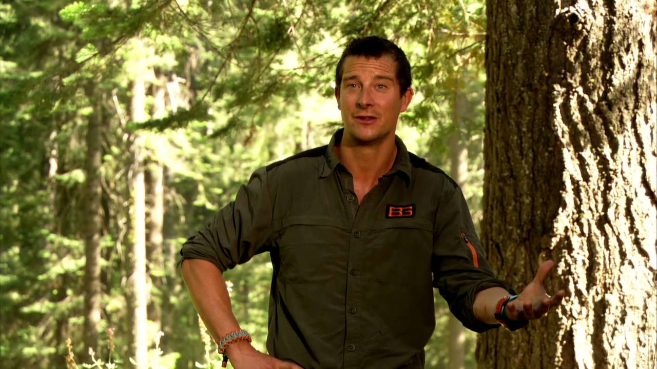 Running Wild With Bear Grylls Wallpapers