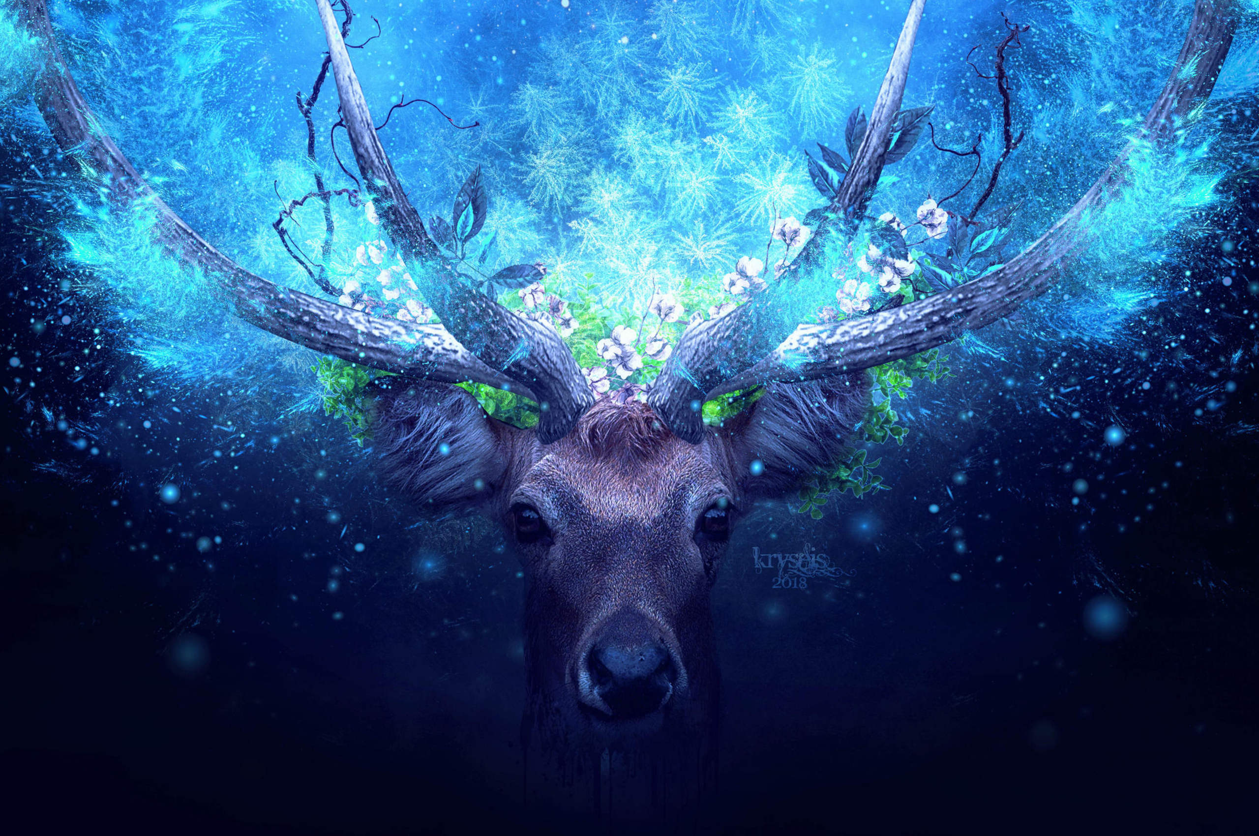 Stag Wallpapers