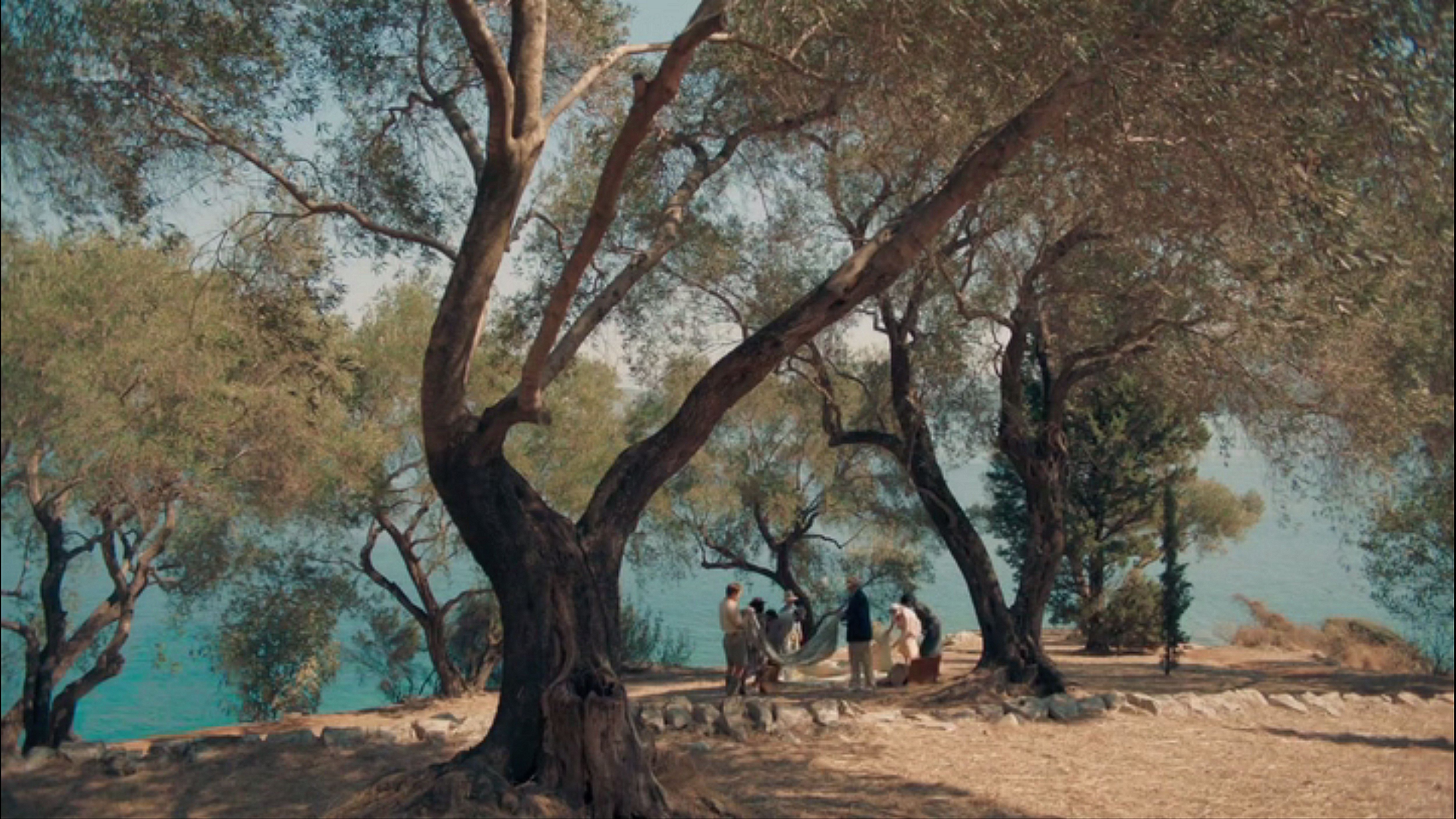 The Durrells Wallpapers