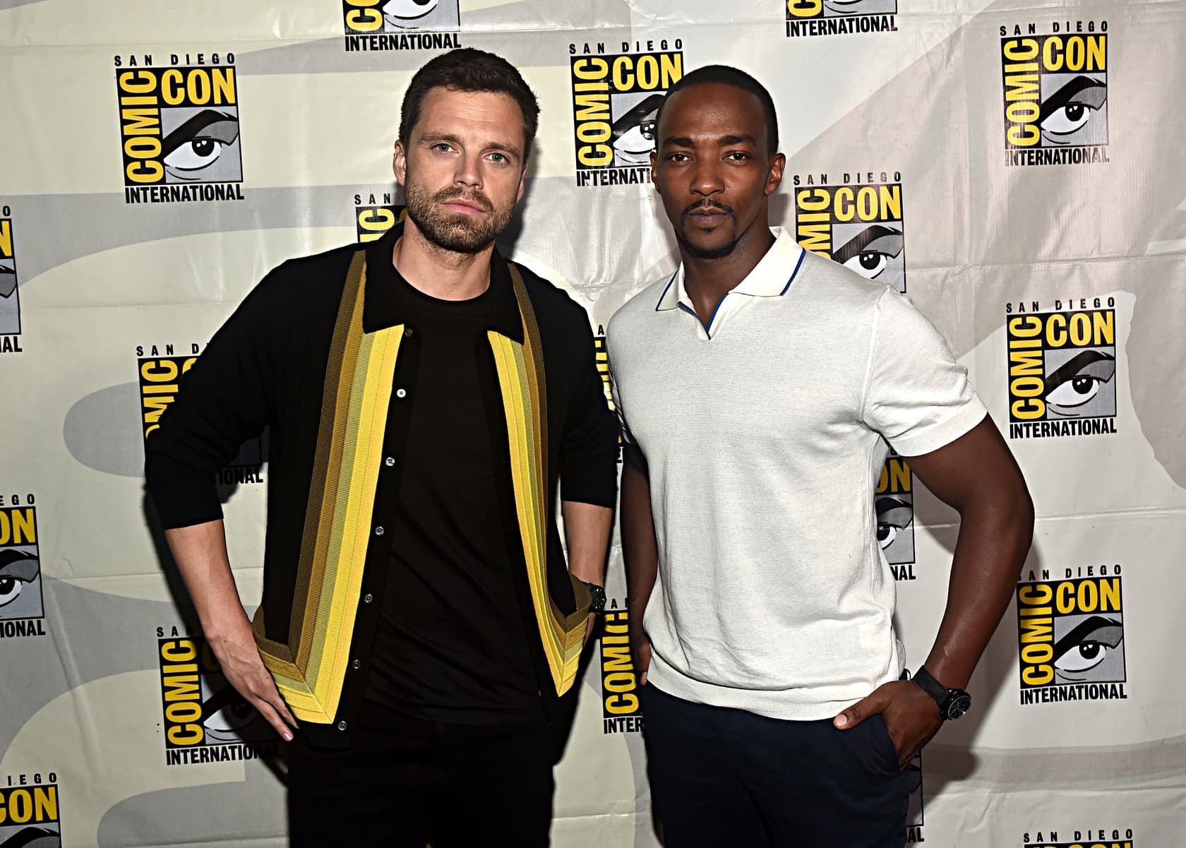 The Falcon And The Winter Soldier Comic Con 2019 Wallpapers