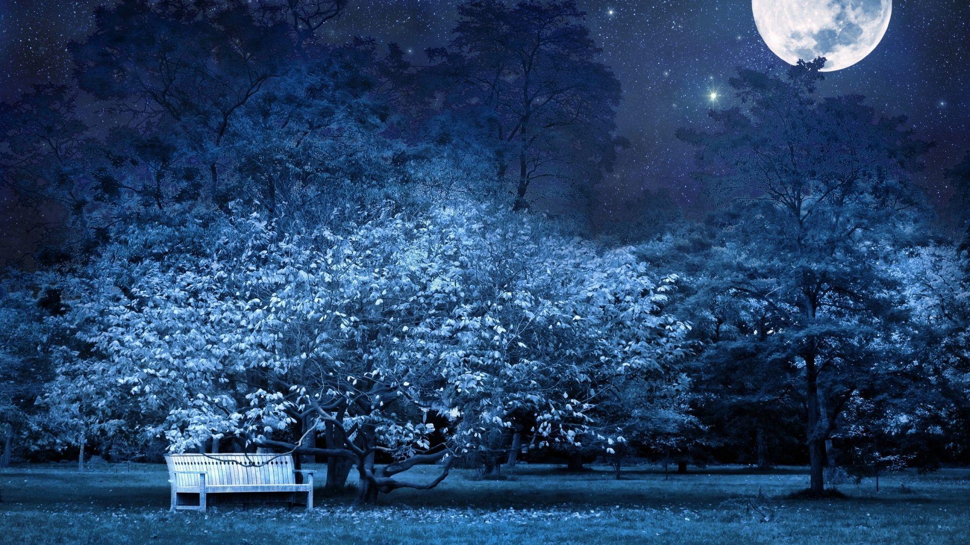 The Night Of Wallpapers