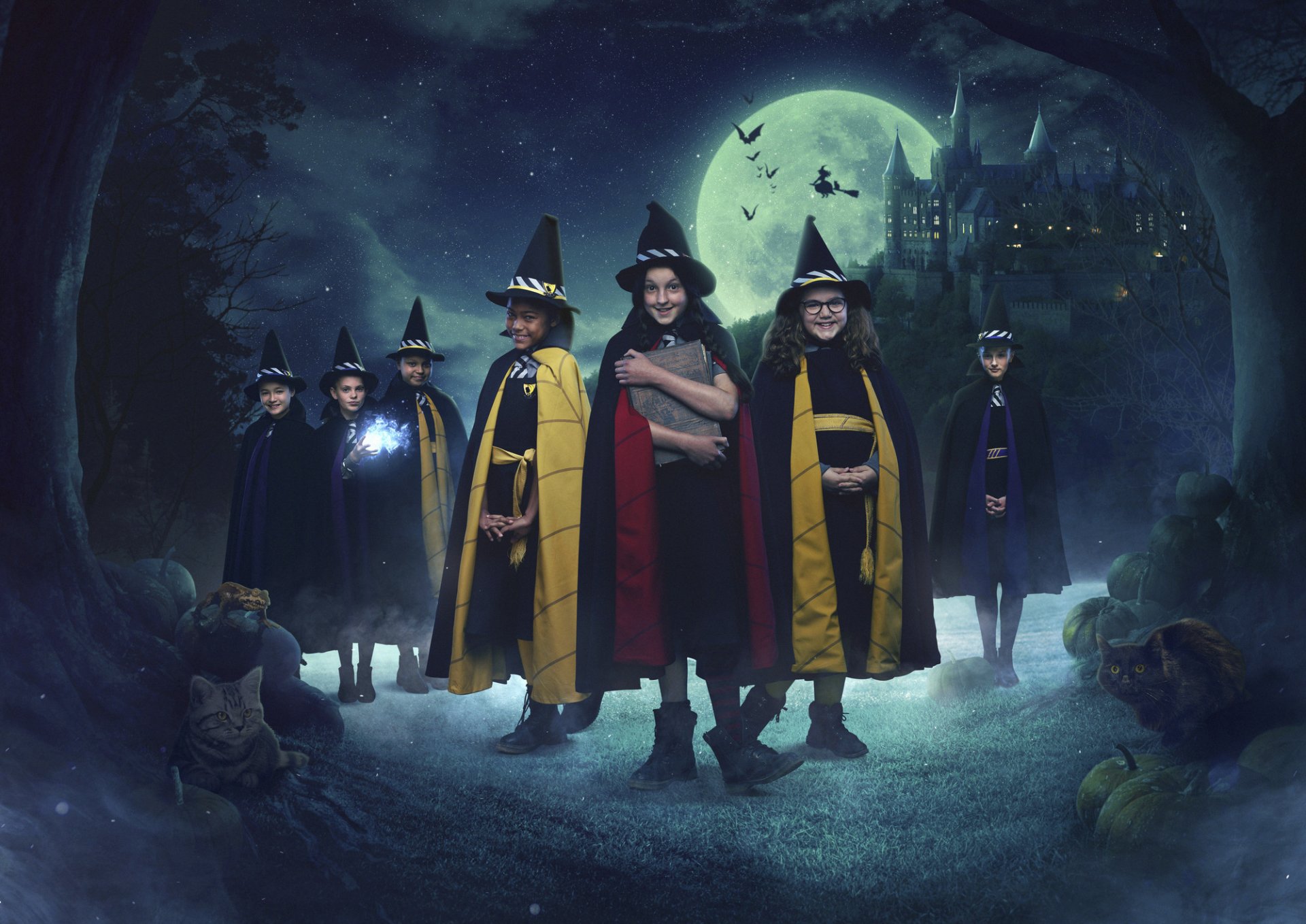 The Worst Witch Wallpapers