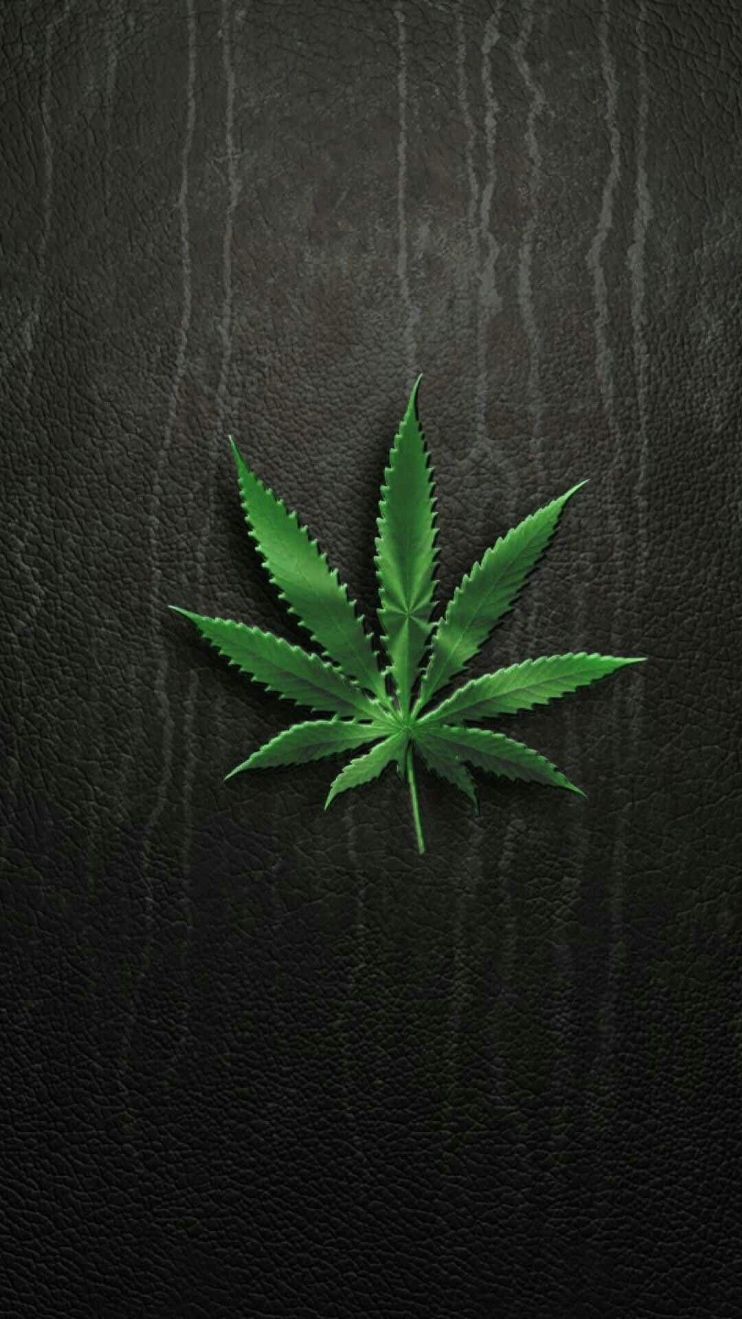 Weeds Wallpapers