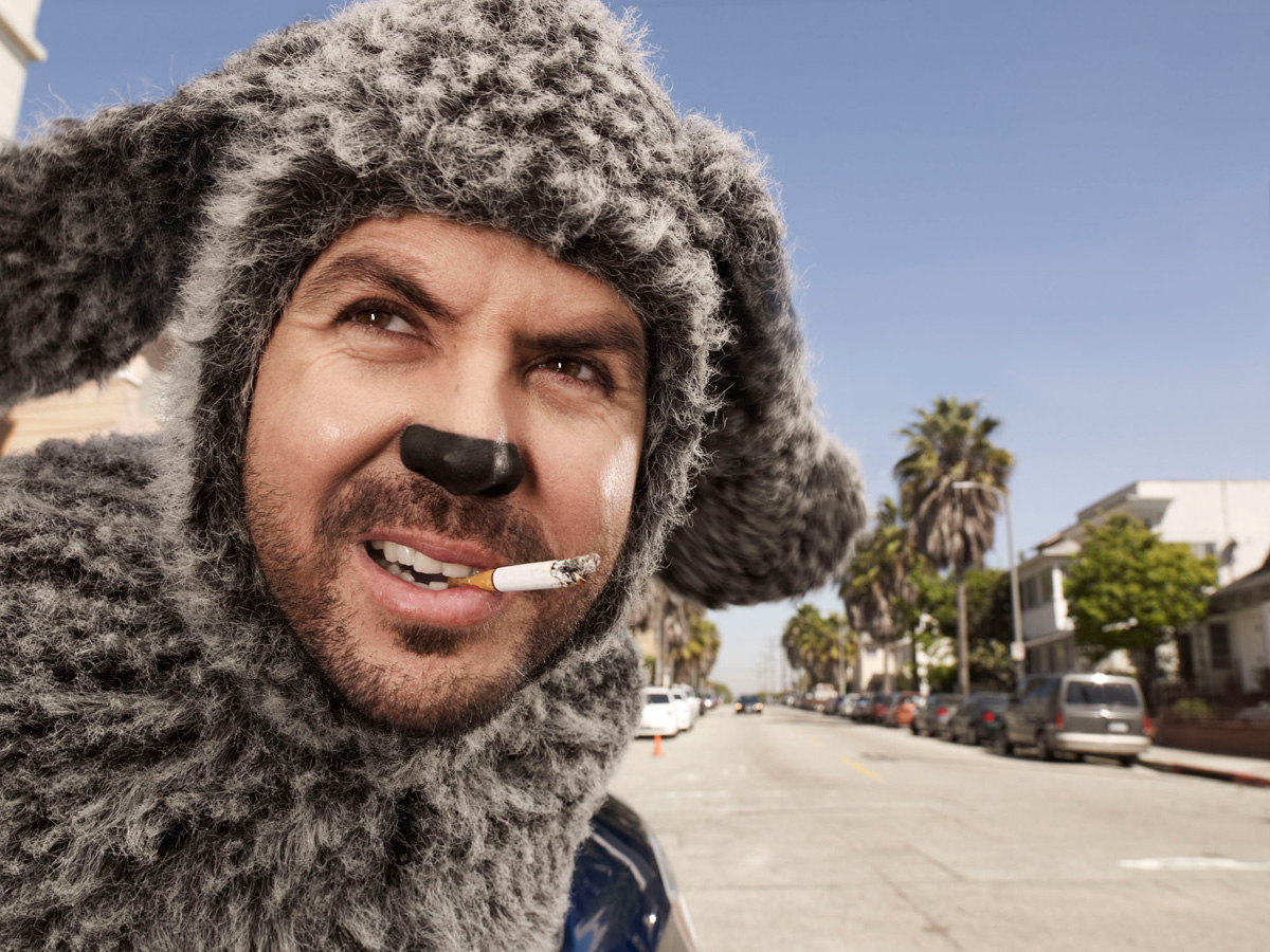Wilfred Wallpapers