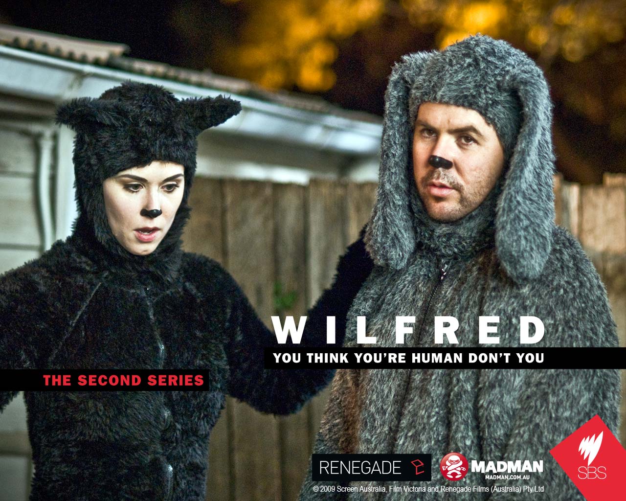 Wilfred Wallpapers