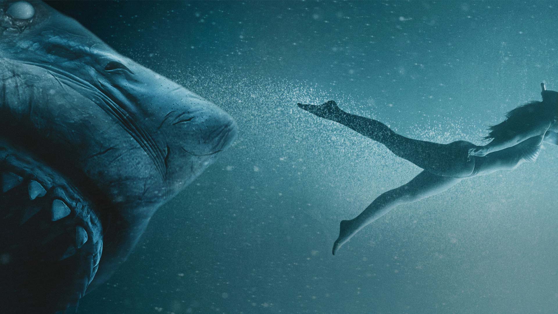 47 Meters Down Uncaged Wallpapers