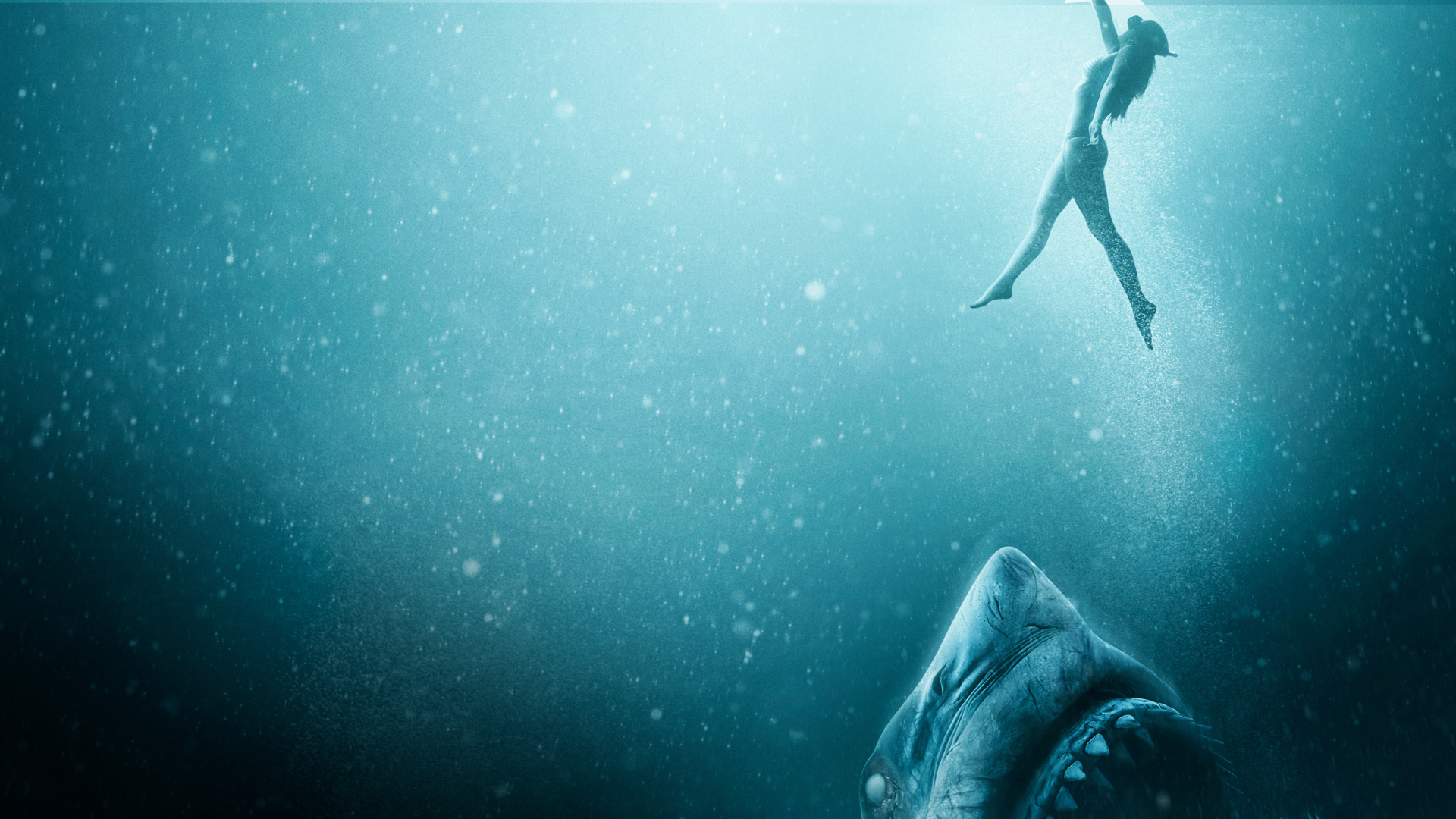 47 Meters Down Uncaged Wallpapers