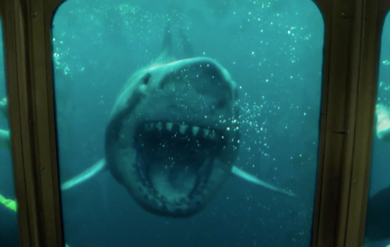 47 Meters Down Uncaged Wallpapers