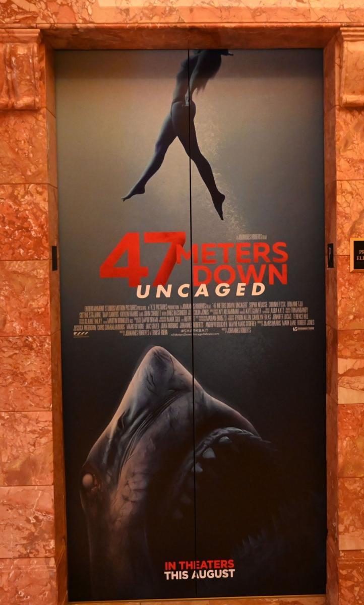 47 Meters Down Uncaged Wallpapers