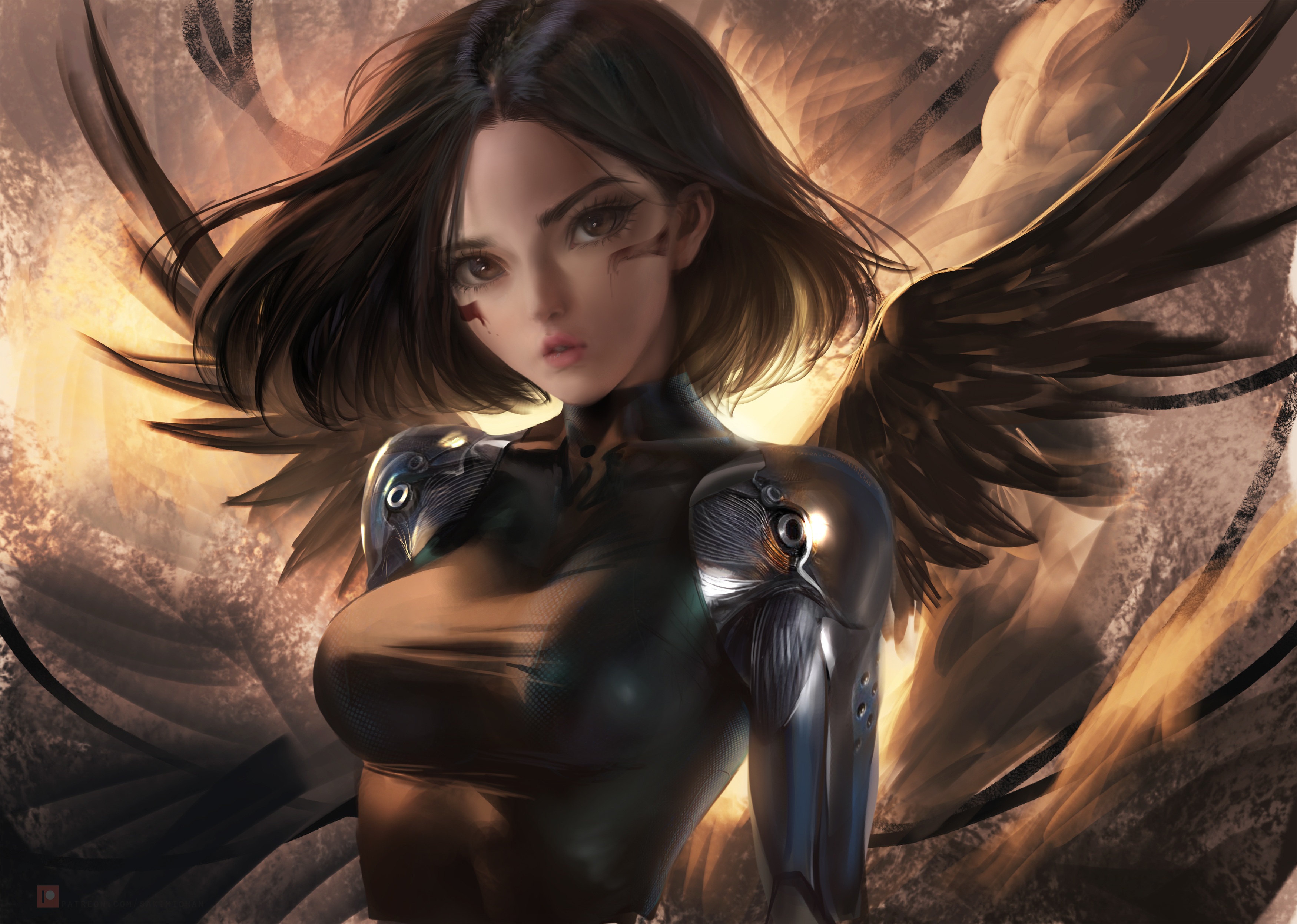 Alita Battle Angel 2018 Movie Wallpapers