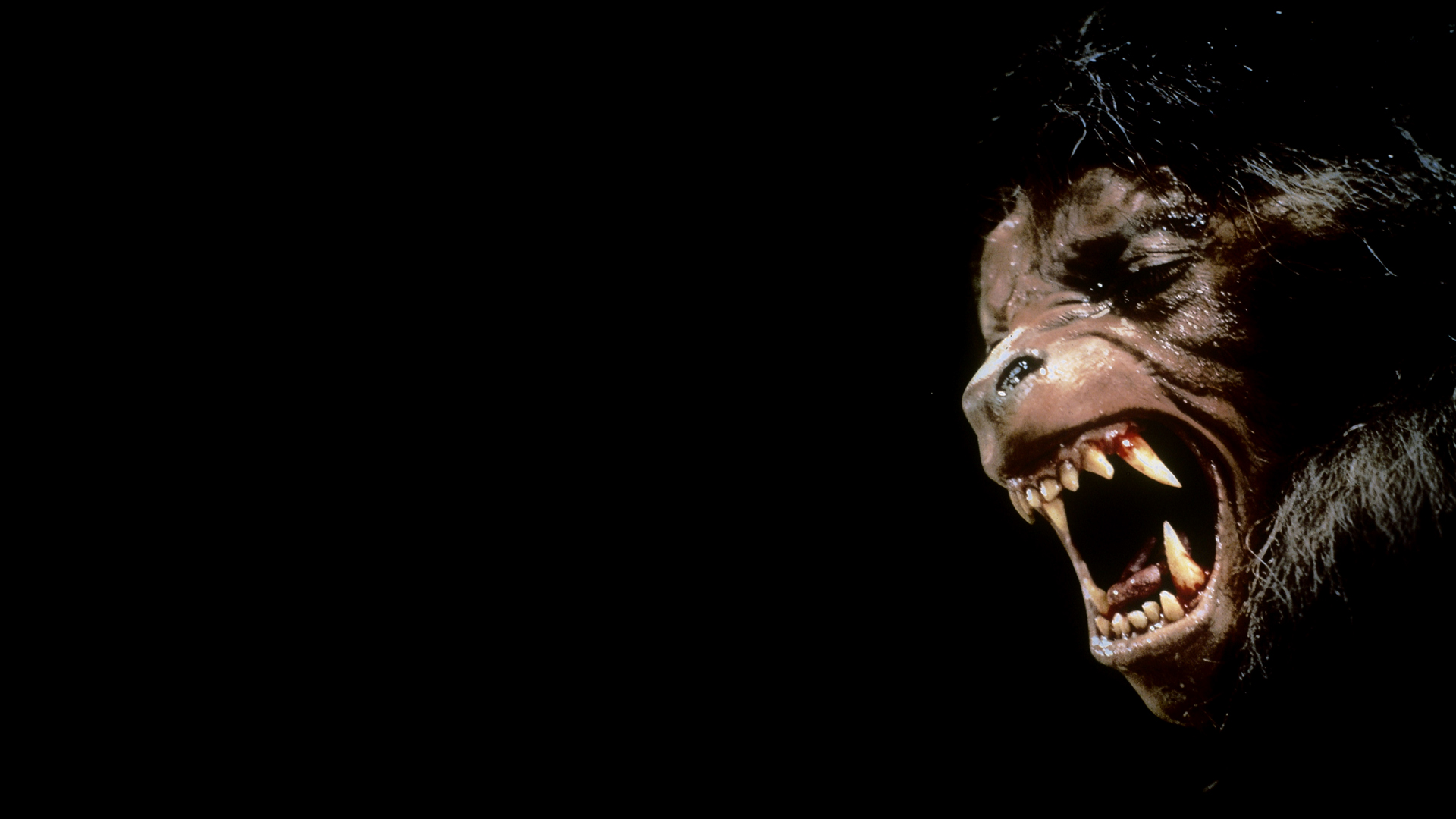 An American Werewolf In London (1981) Wallpapers