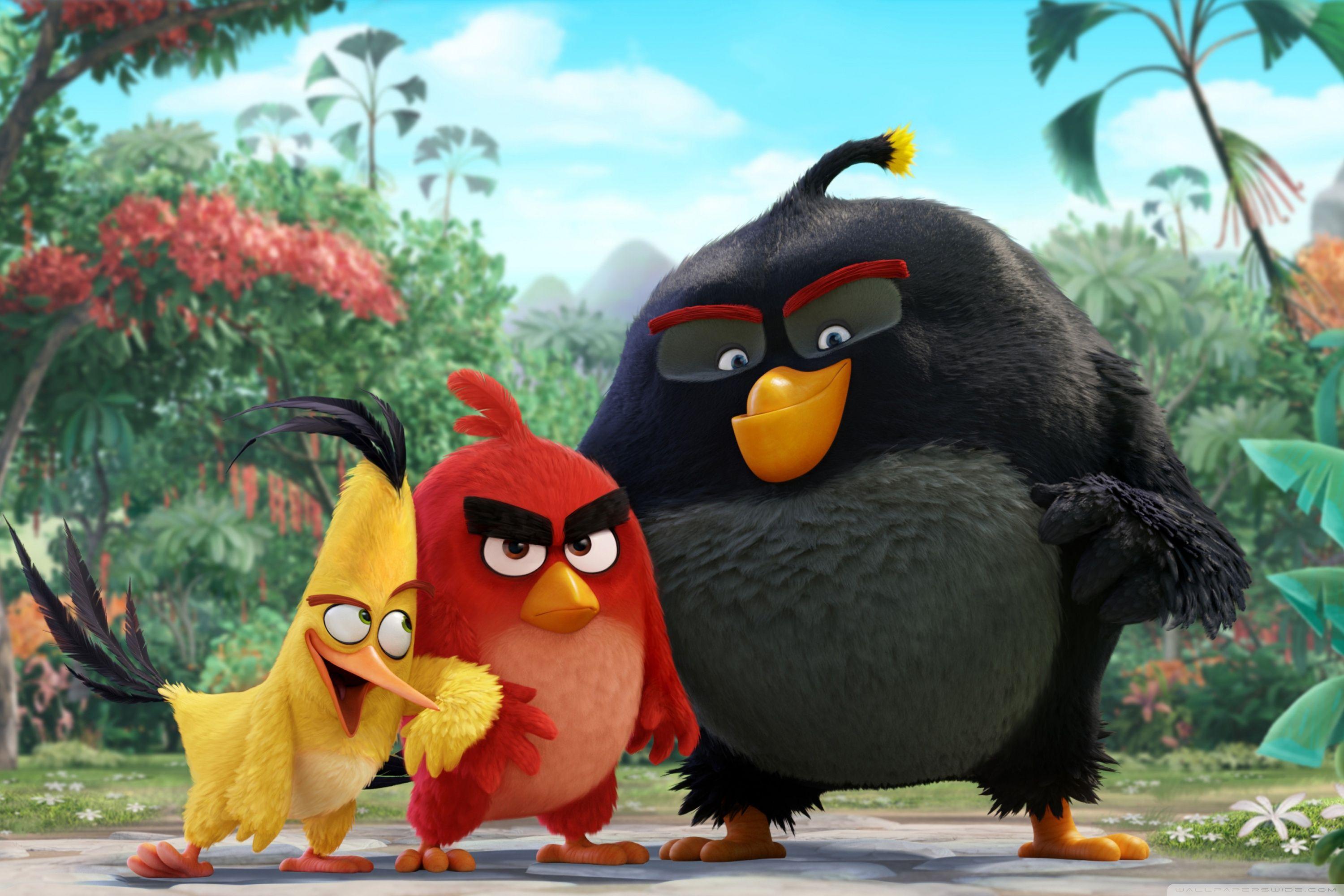 Angry Birds 2 Wallpapers