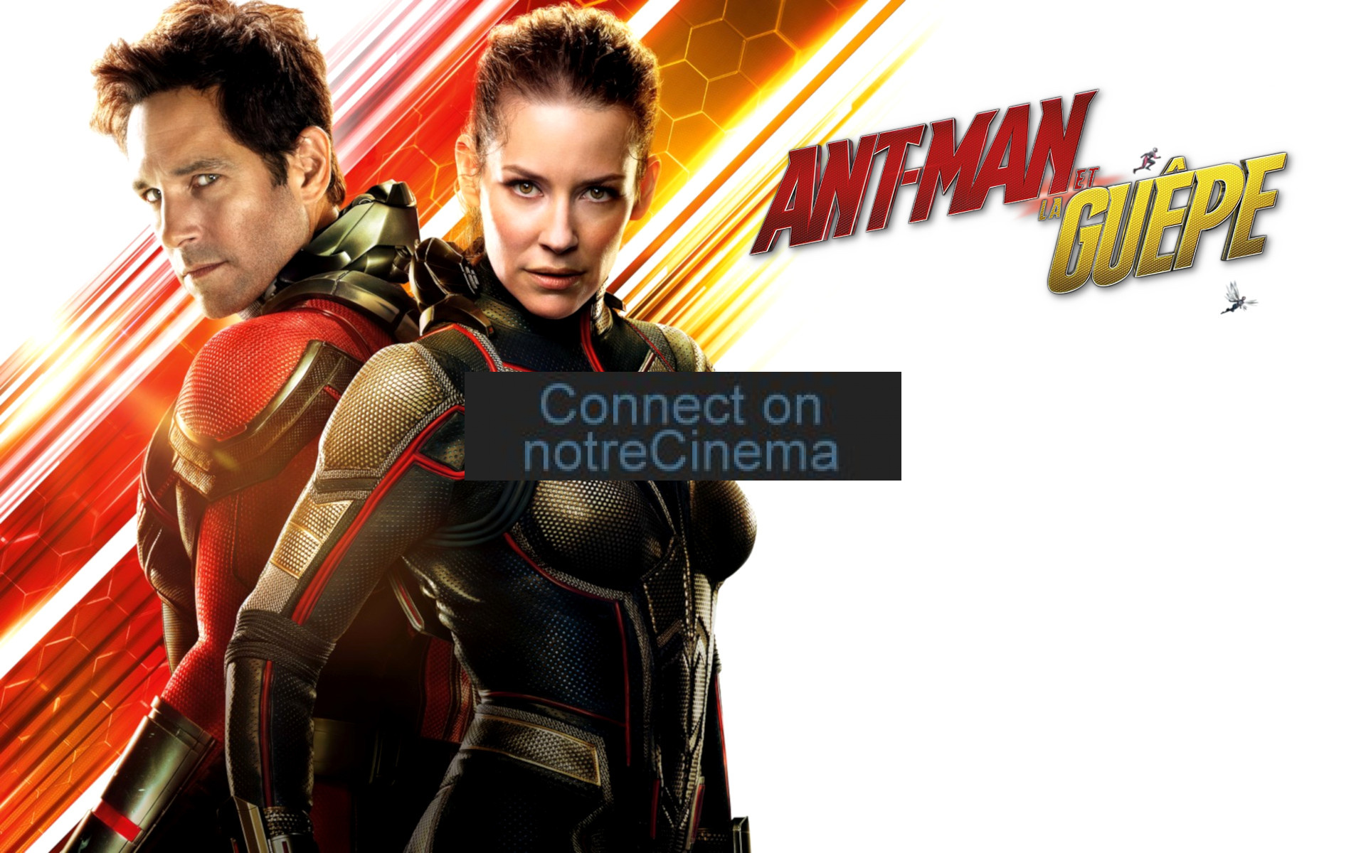 Ant-Man And The Wasp Wallpapers