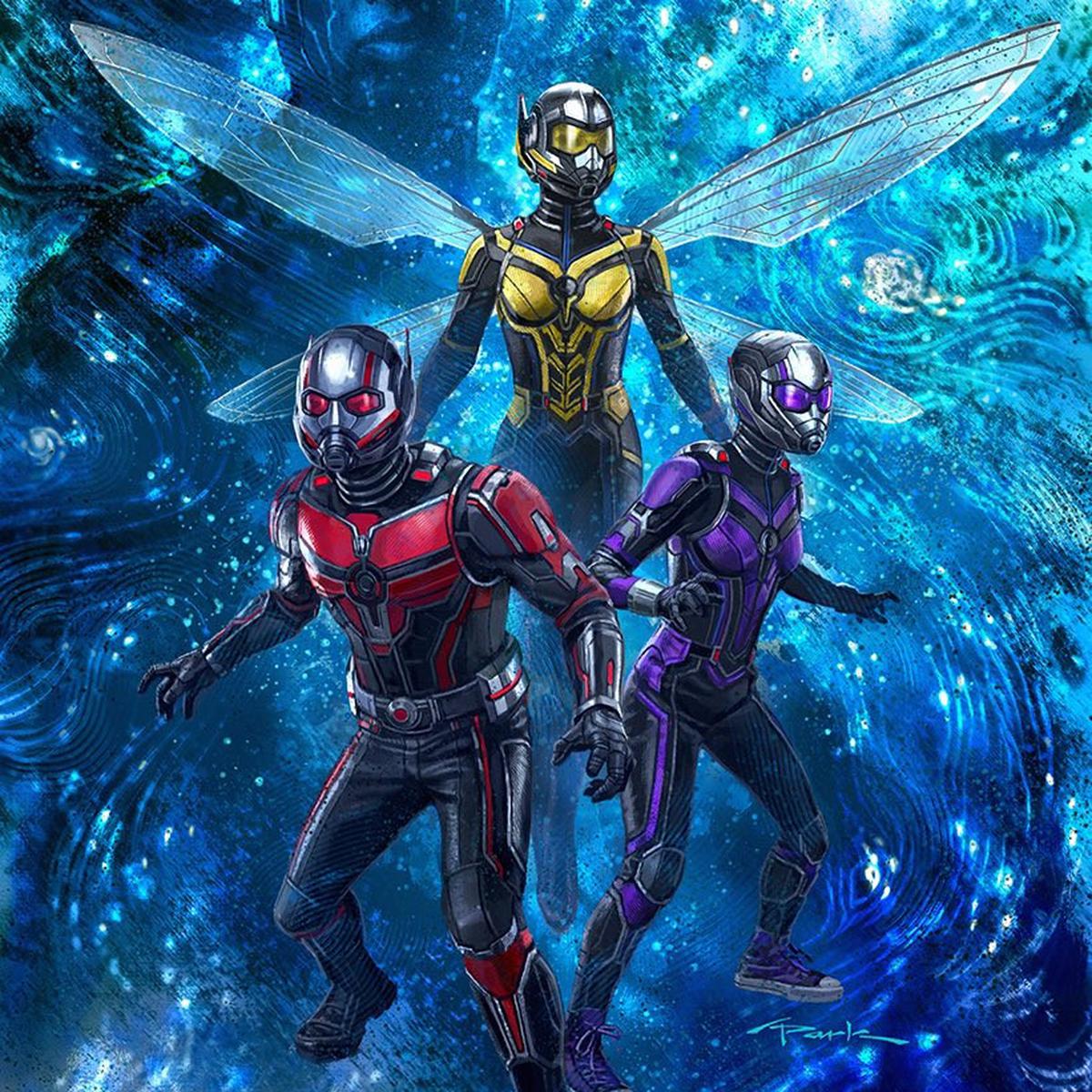 Ant-Man Riding Ant In Ant-Man And The Wasp Wallpapers