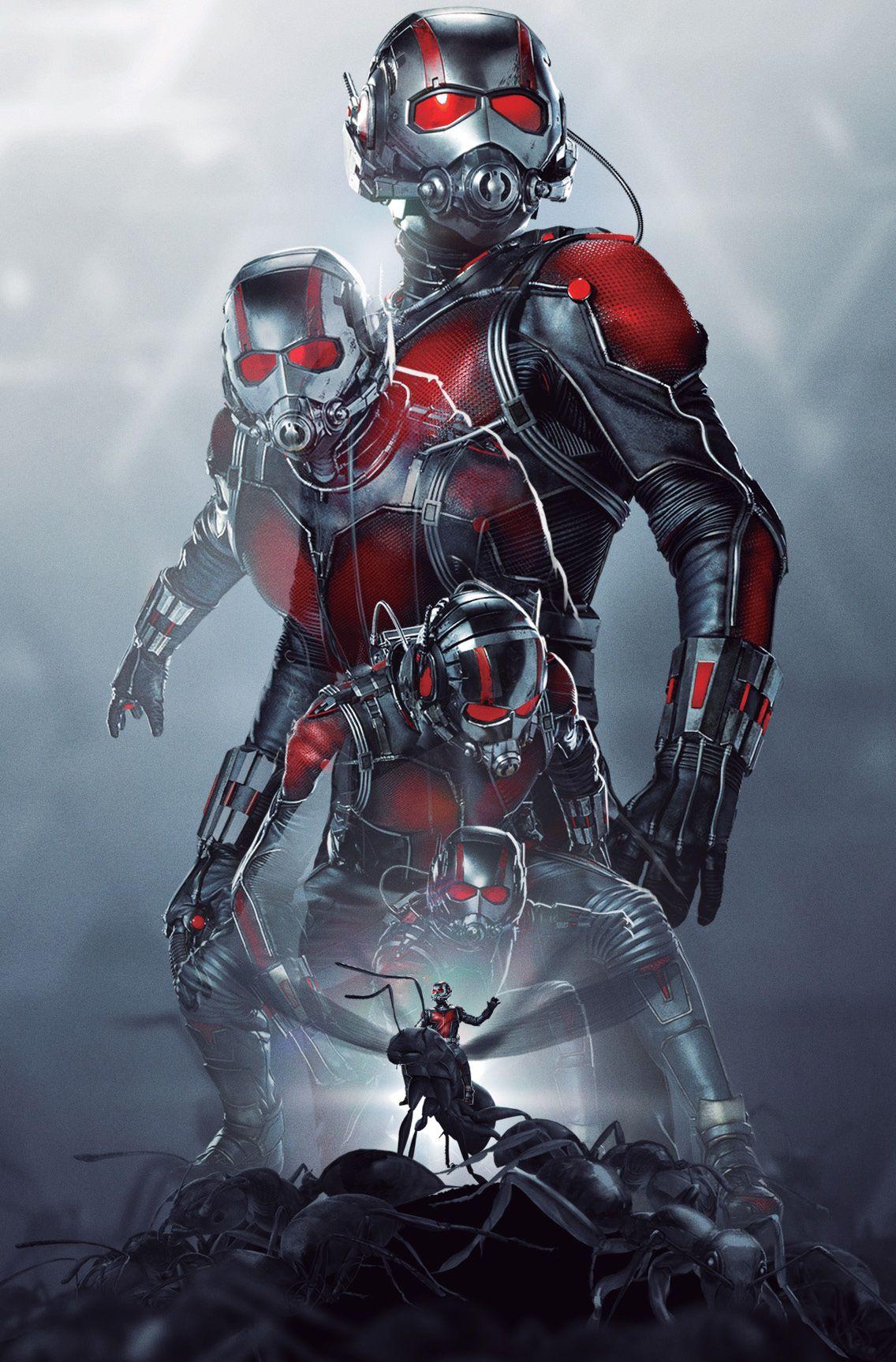 Ant-Man Riding Ant In Ant-Man And The Wasp Wallpapers