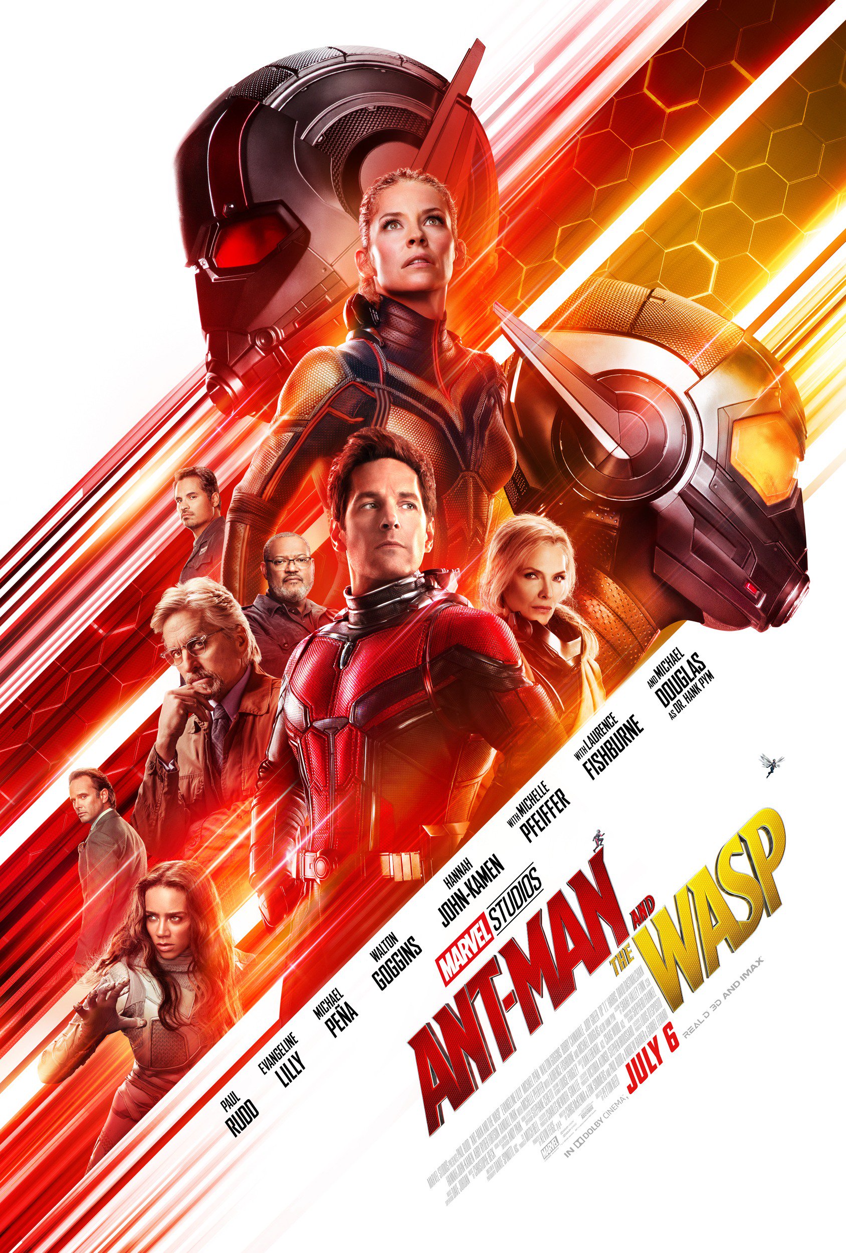 Ant-Man Riding Ant In Ant-Man And The Wasp Wallpapers