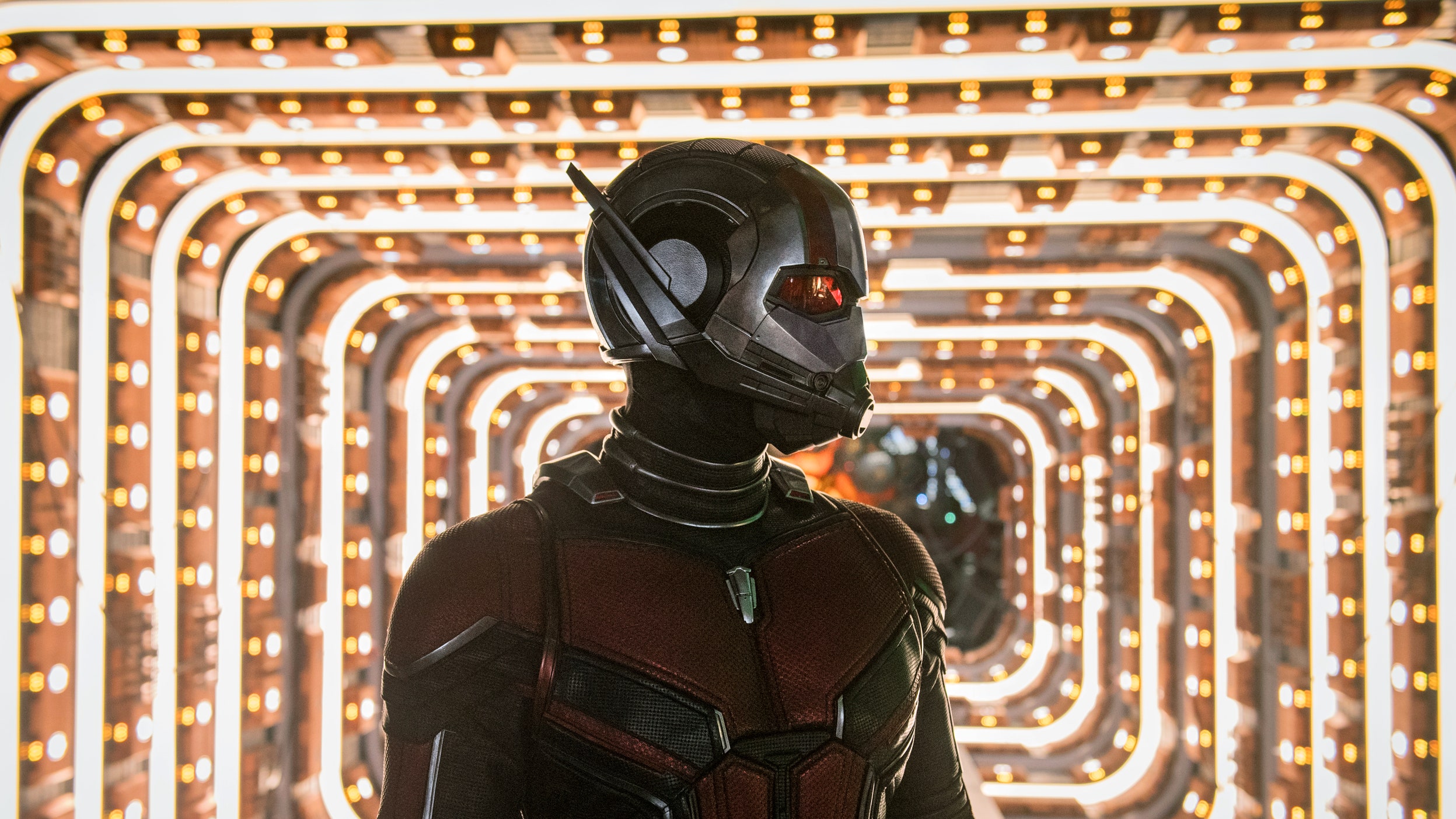 Ant-Man Riding Ant In Ant-Man And The Wasp Wallpapers