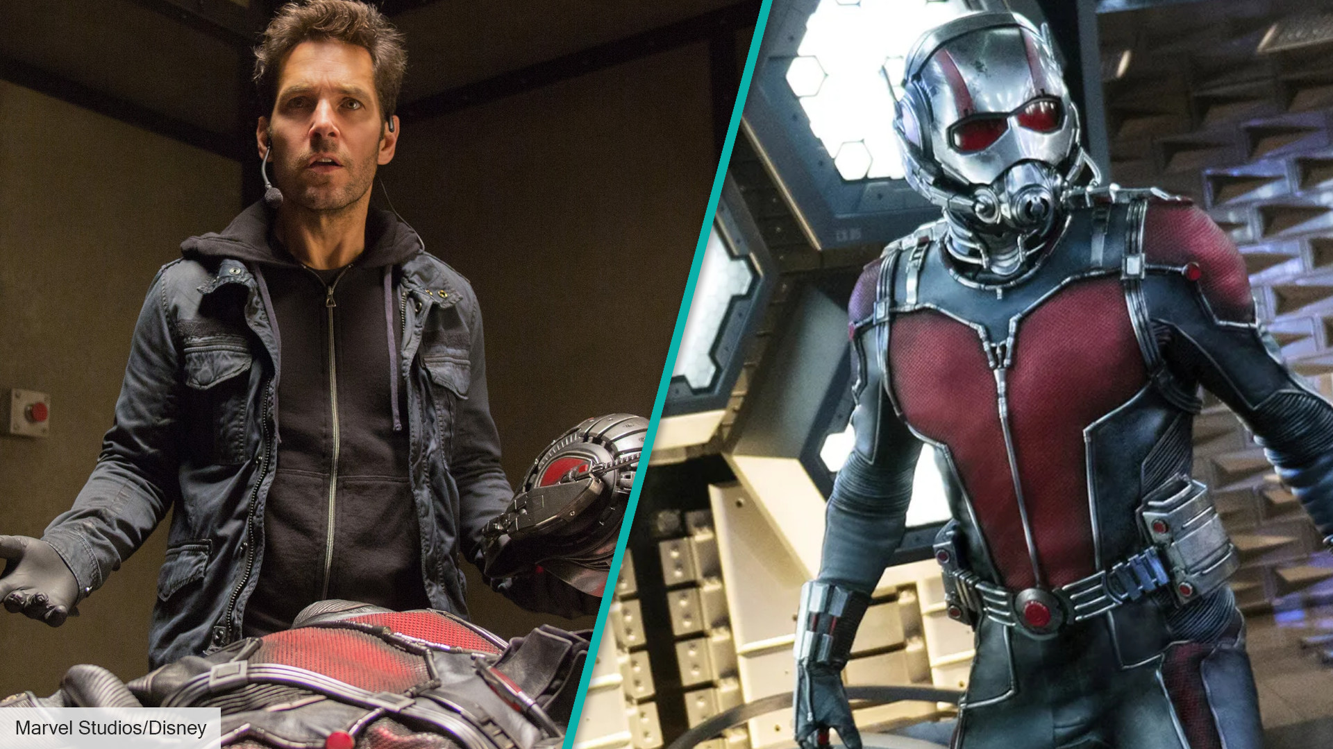 Ant-Man Riding Ant In Ant-Man And The Wasp Wallpapers