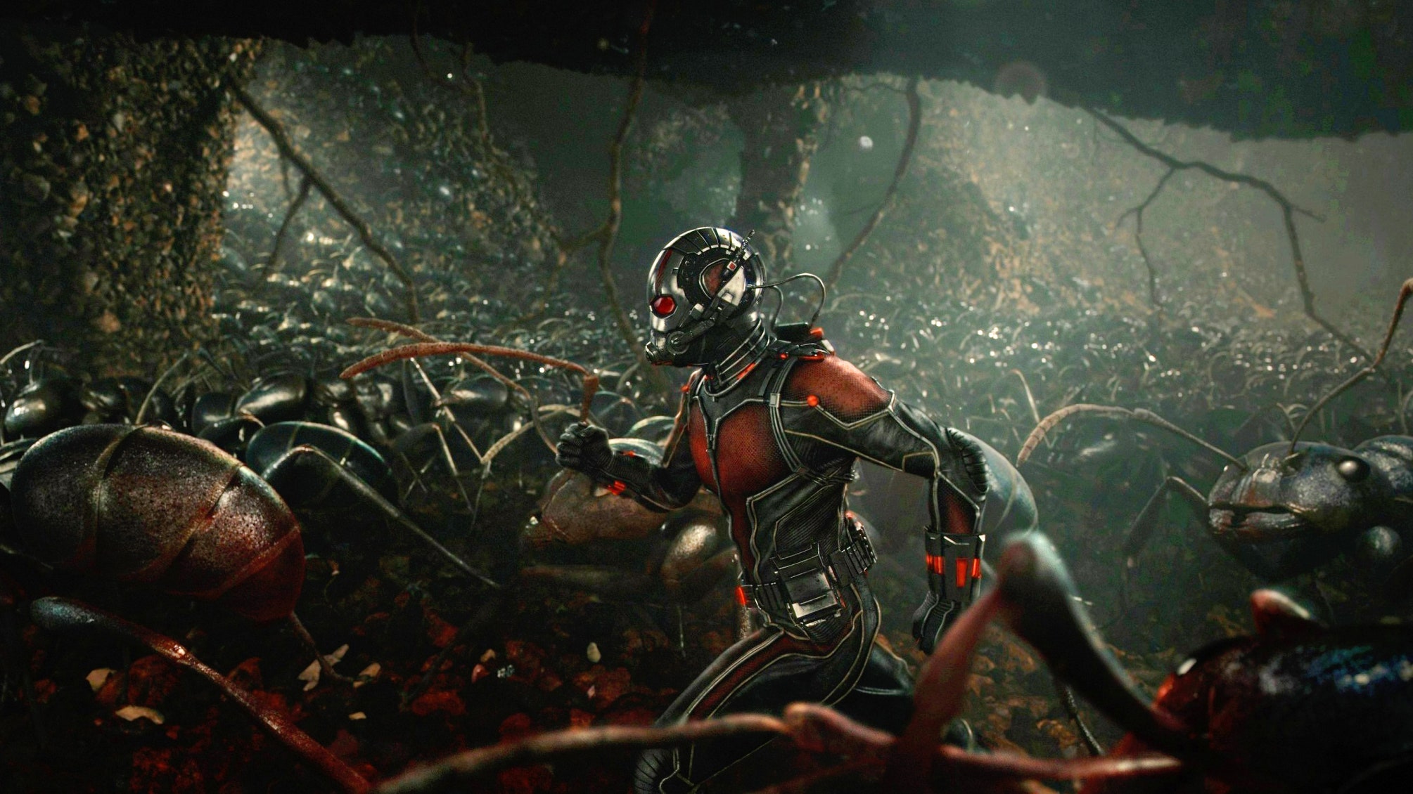 Ant-Man Riding Ant In Ant-Man And The Wasp Wallpapers