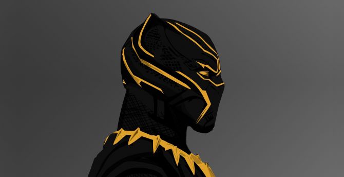 Black Panther 2018 Movie Wallpapers