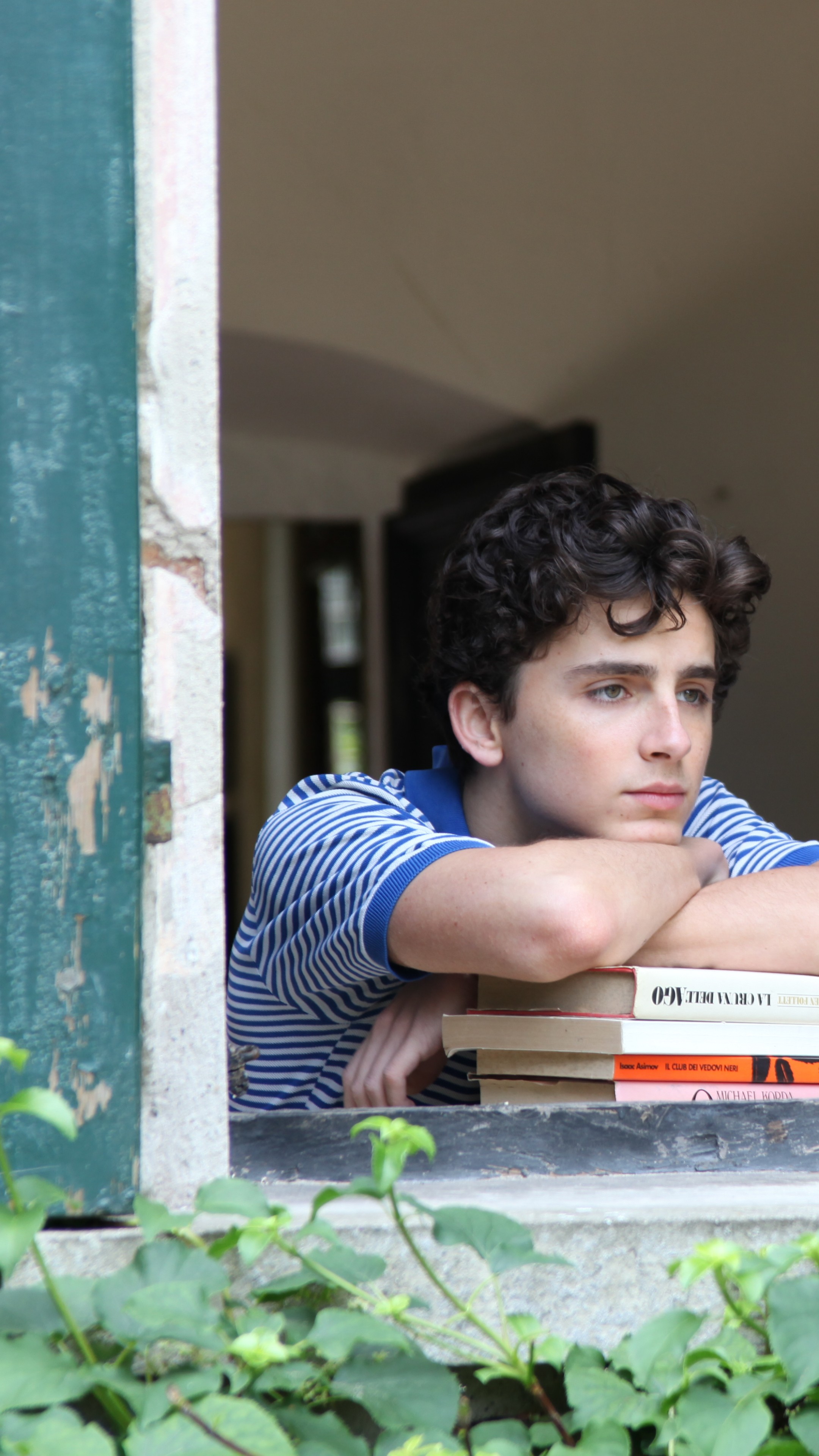 Call Me By Your Name Wallpapers