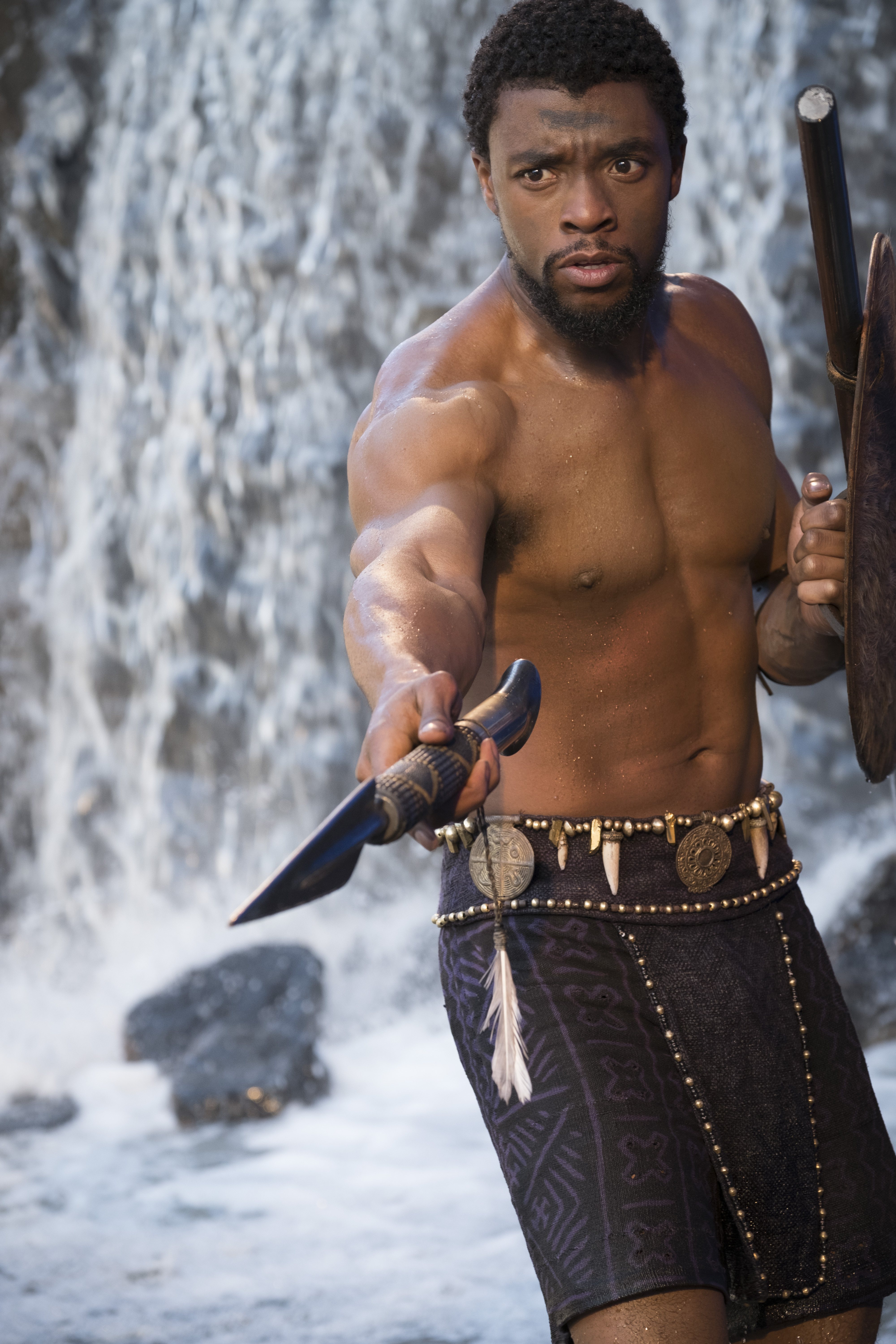 Chadwick Boseman As Black Panther 2018 Movie Wallpapers