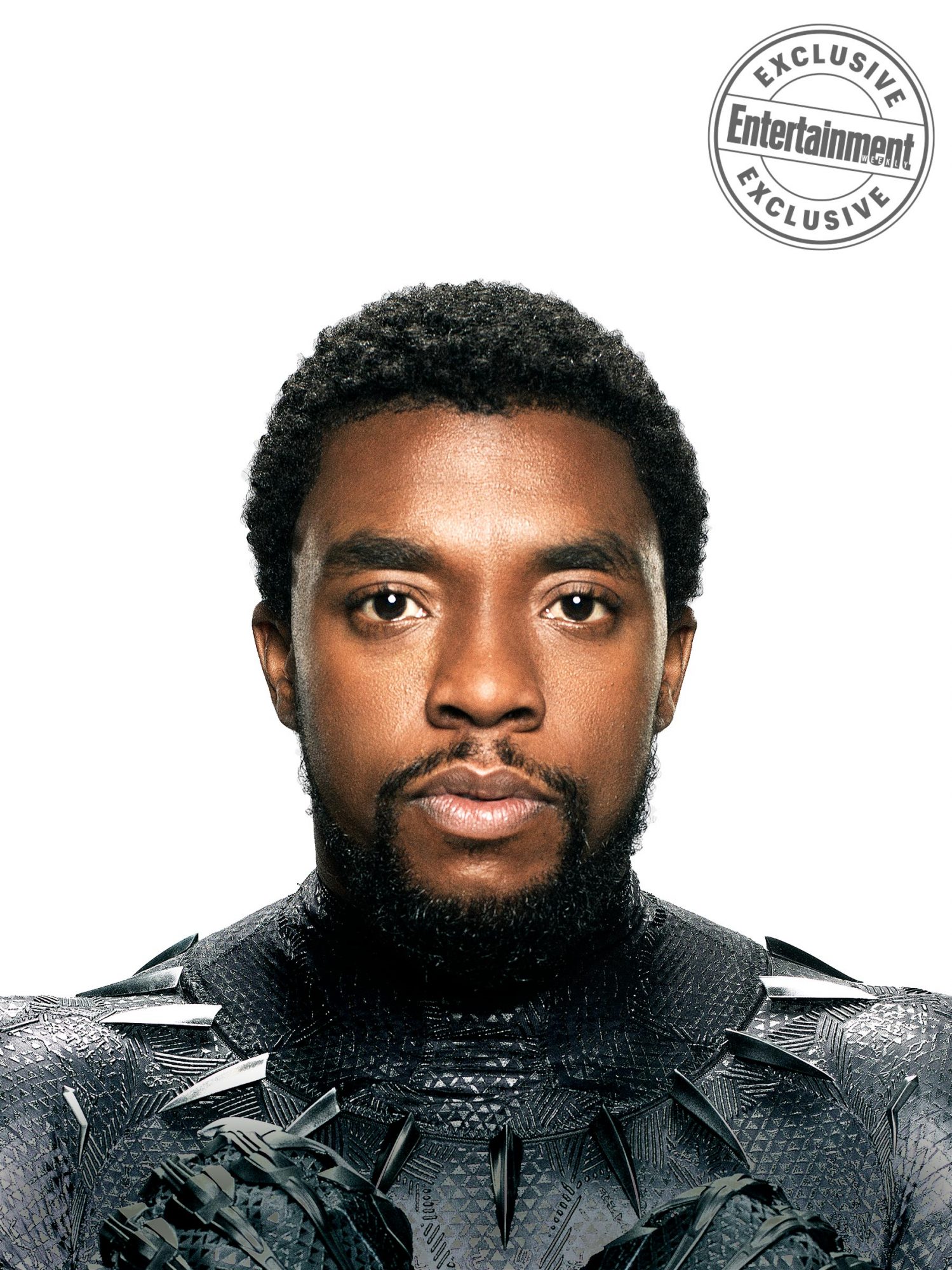 Chadwick Boseman As Black Panther 2018 Movie Wallpapers