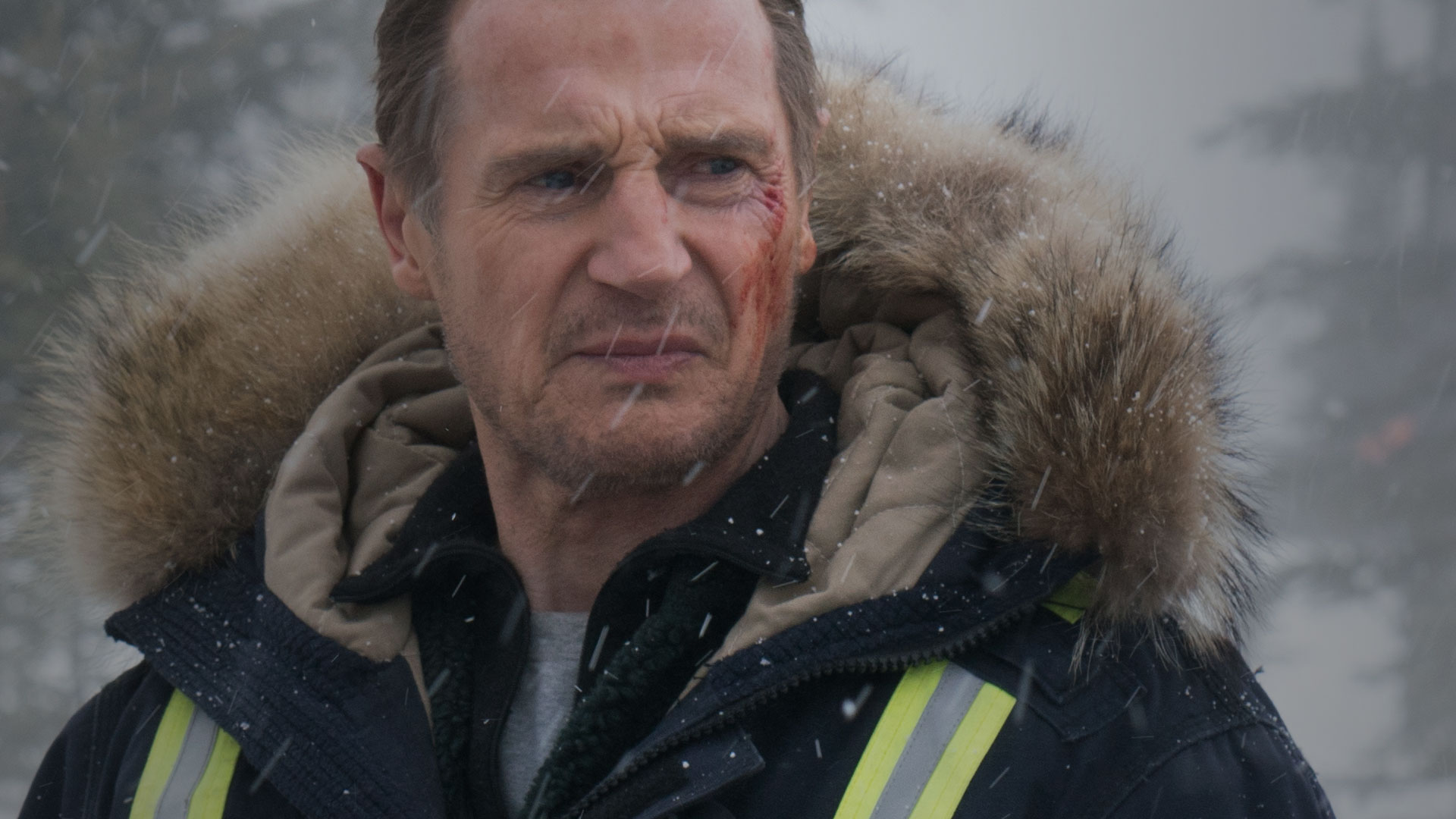 Cold Pursuit Movie Wallpapers