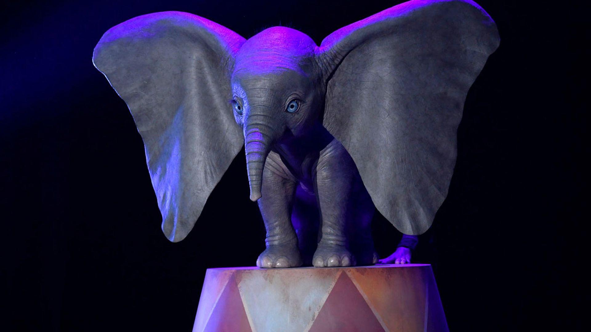 Dumbo 2019 Movie Wallpapers