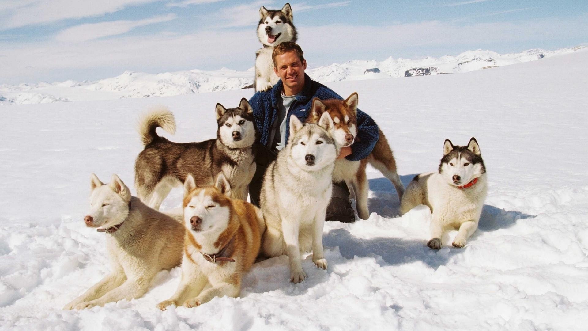 Eight Below Wallpapers