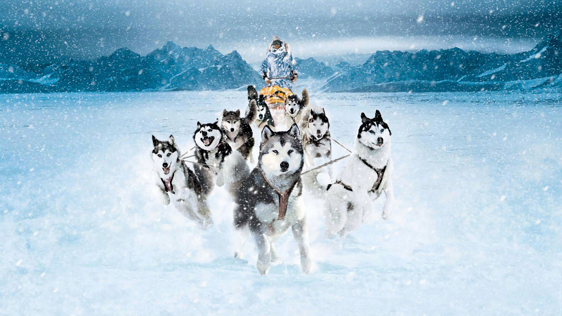 Eight Below Wallpapers