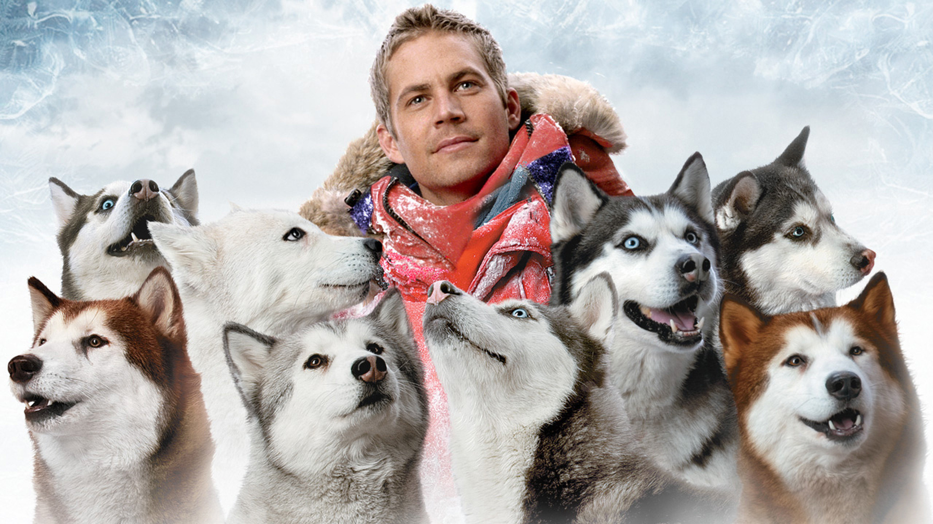 Eight Below Wallpapers