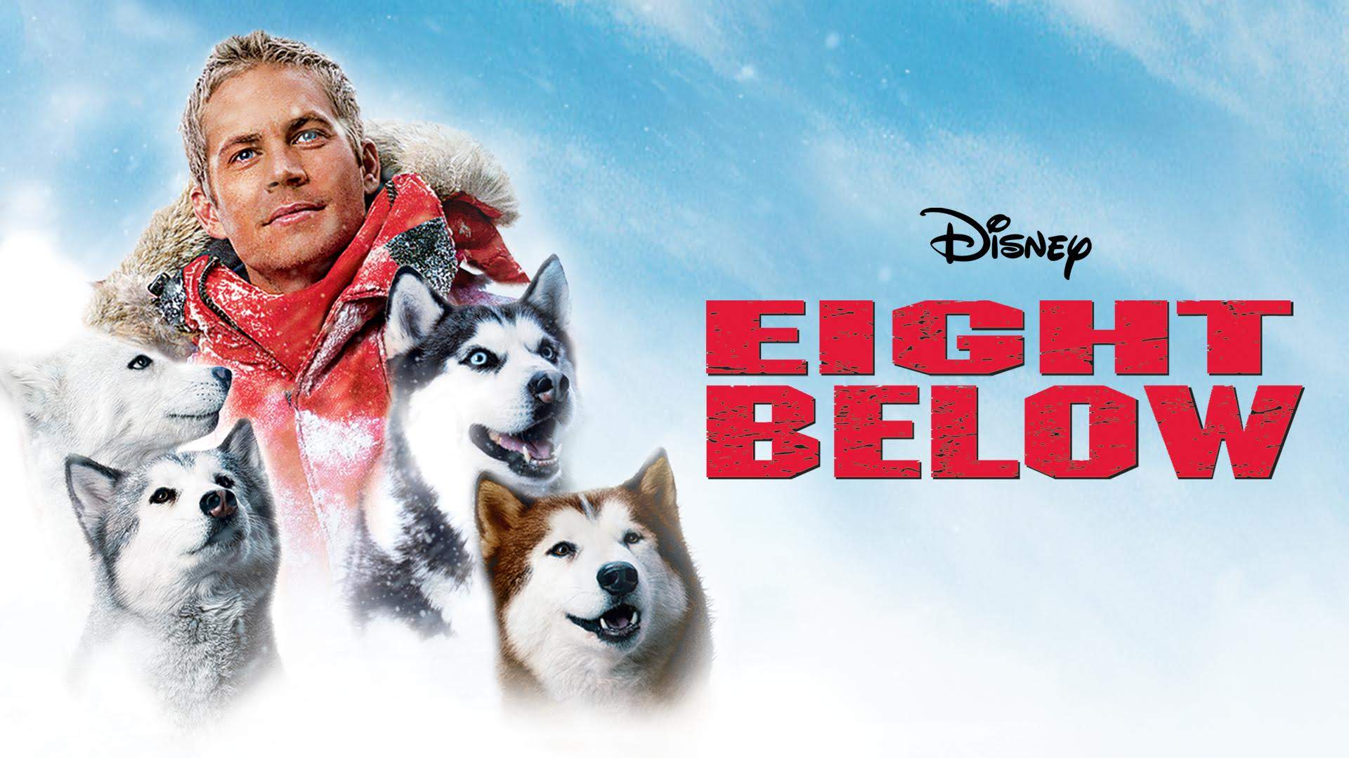 Eight Below Wallpapers