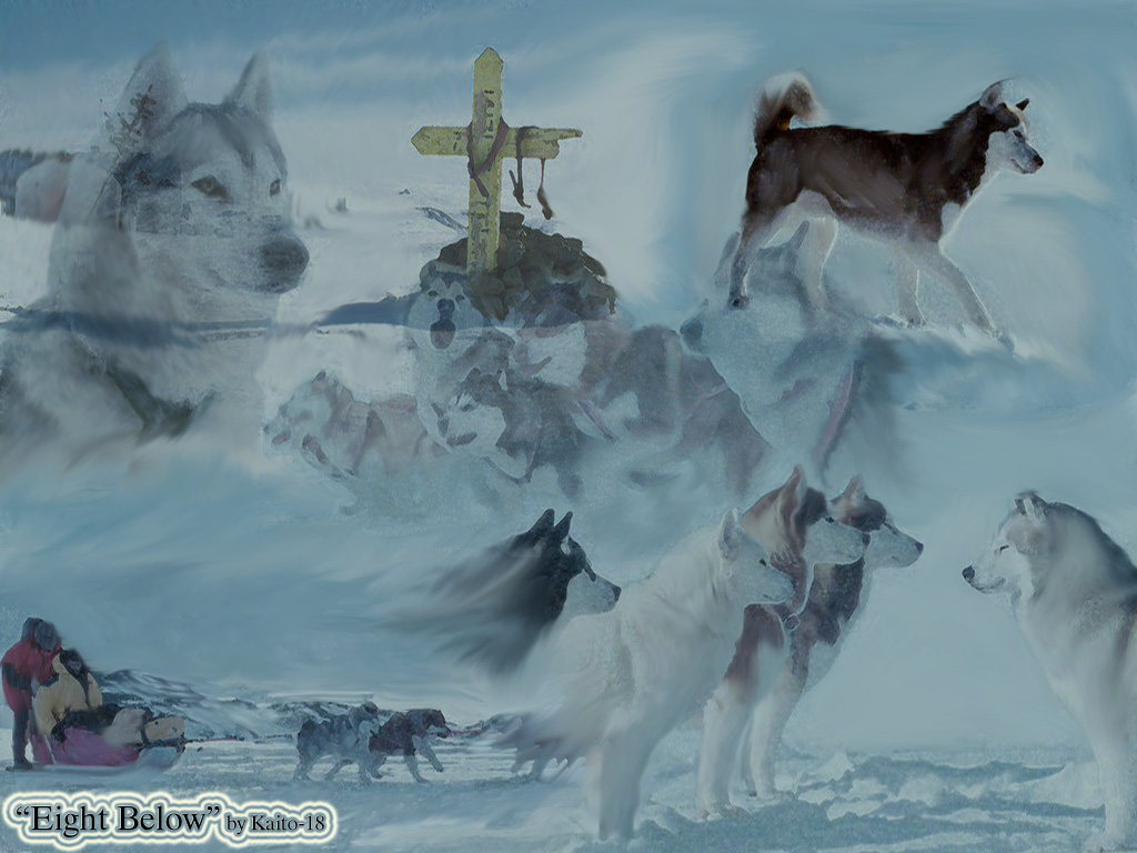 Eight Below Wallpapers