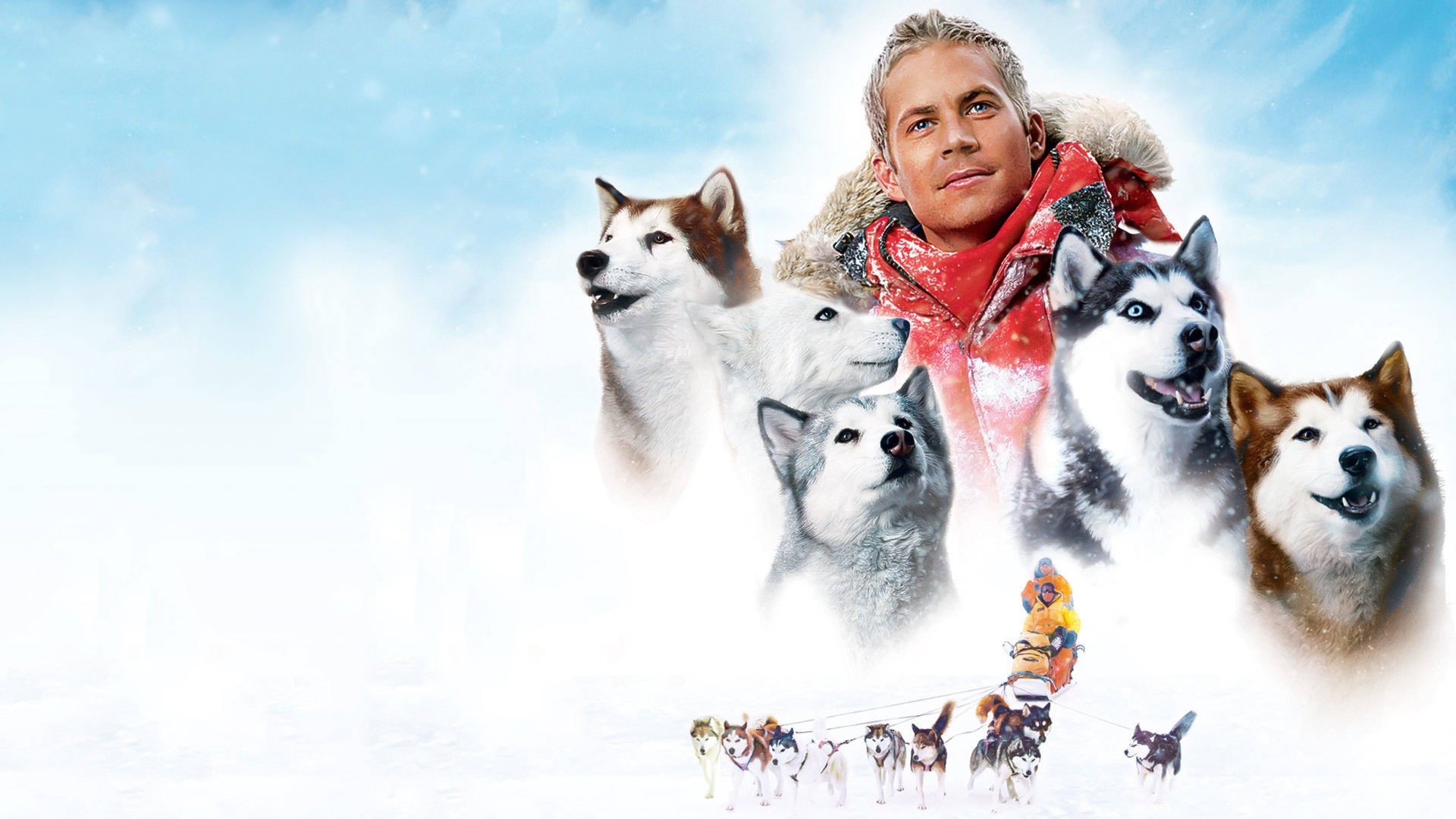 Eight Below Wallpapers